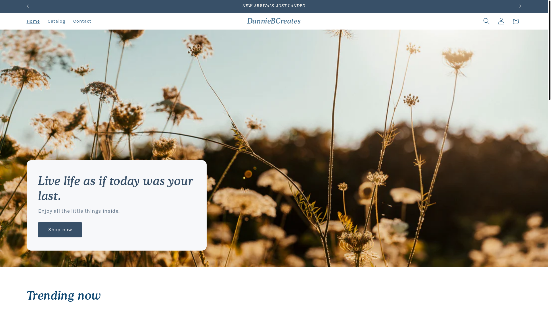 website screenshot of https://danniebcreates.com/
