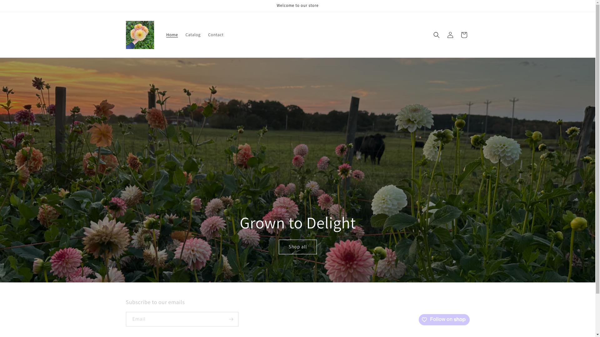 website screenshot of https://rainebringsflowers.com/