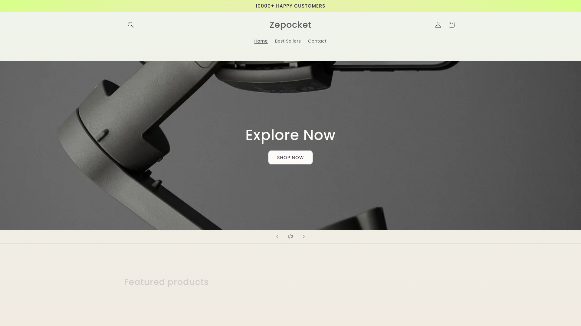 website screenshot of https://zepocket.com