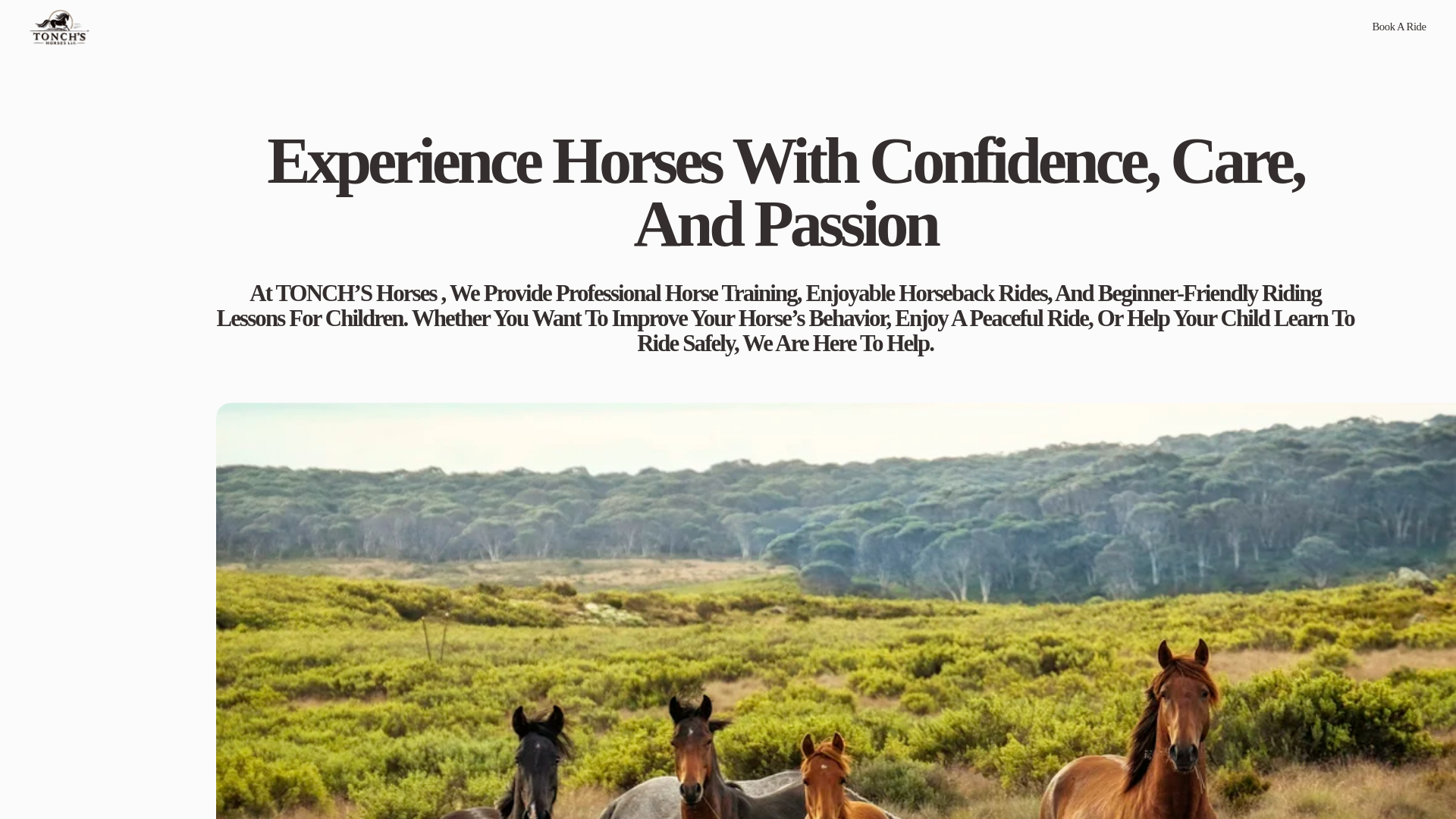 website screenshot of https://tonchorses.com