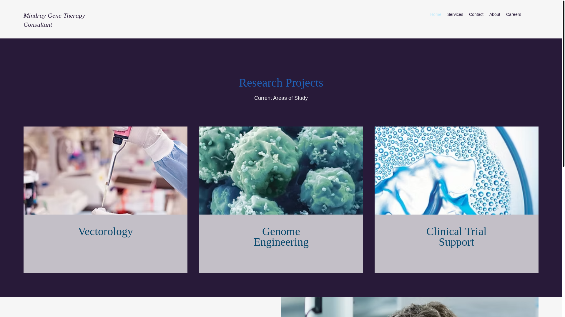 website screenshot of https://mindrayconsultant.com/