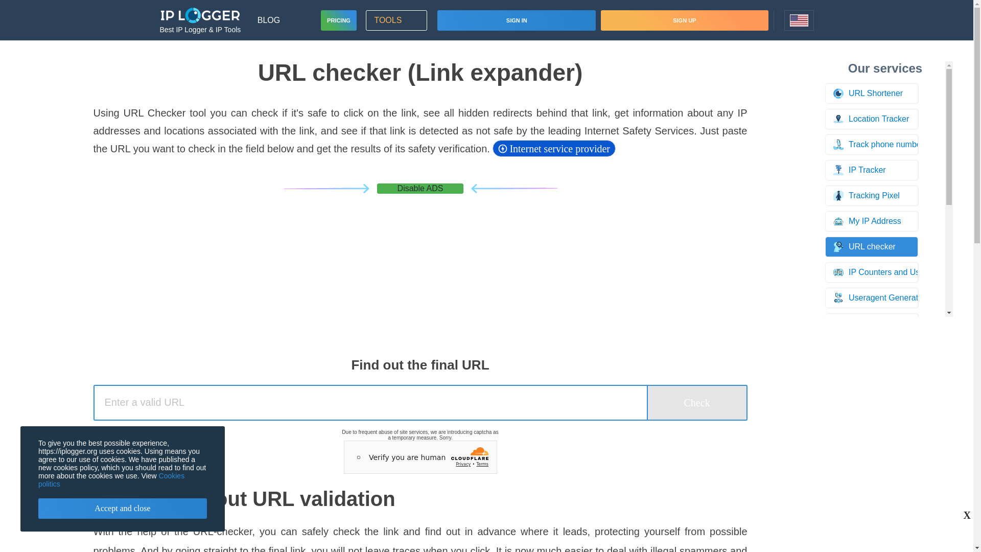 website screenshot of https://iplogger.org/url-checker/