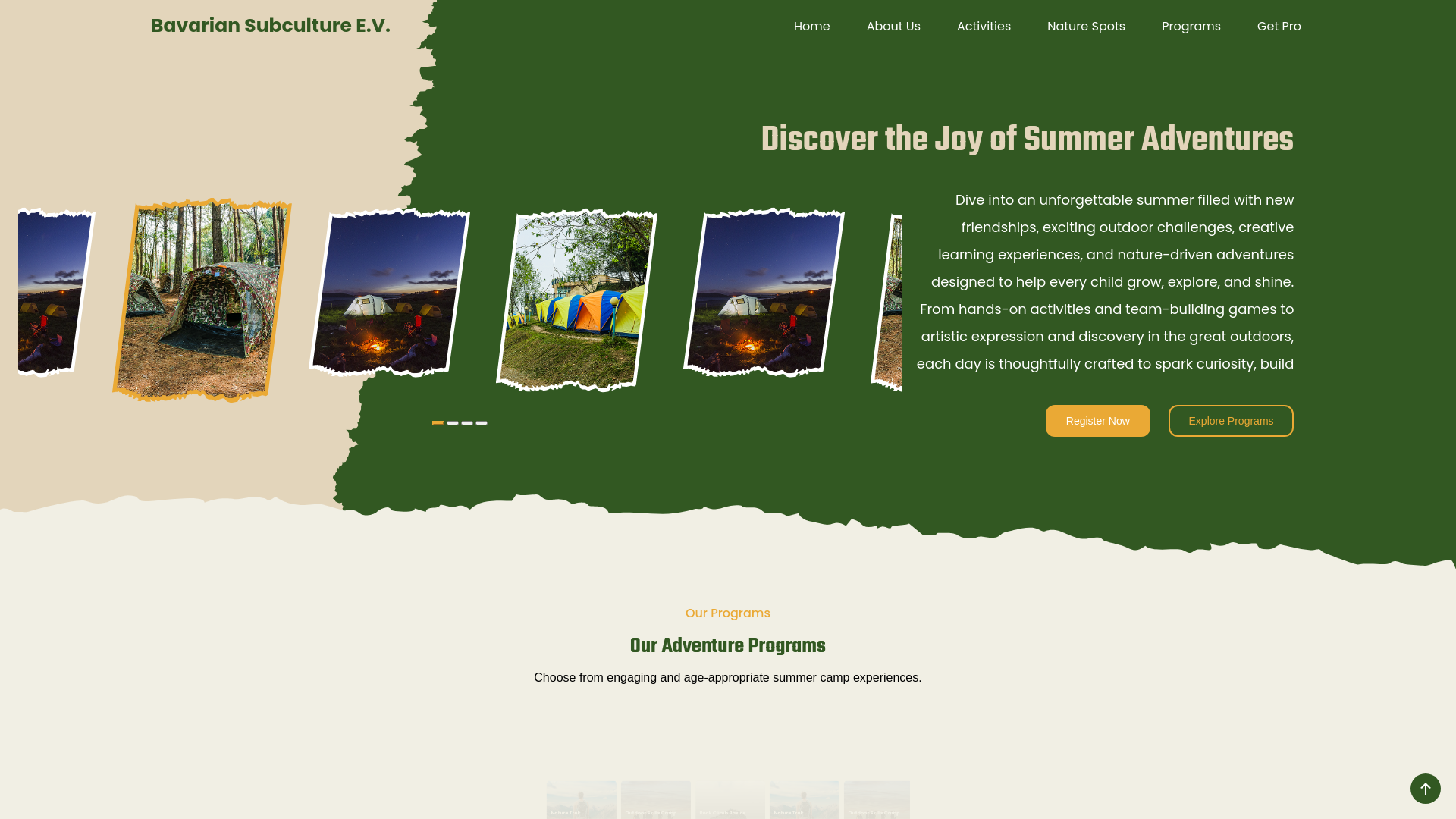 website screenshot of https://bavsubculture.org/