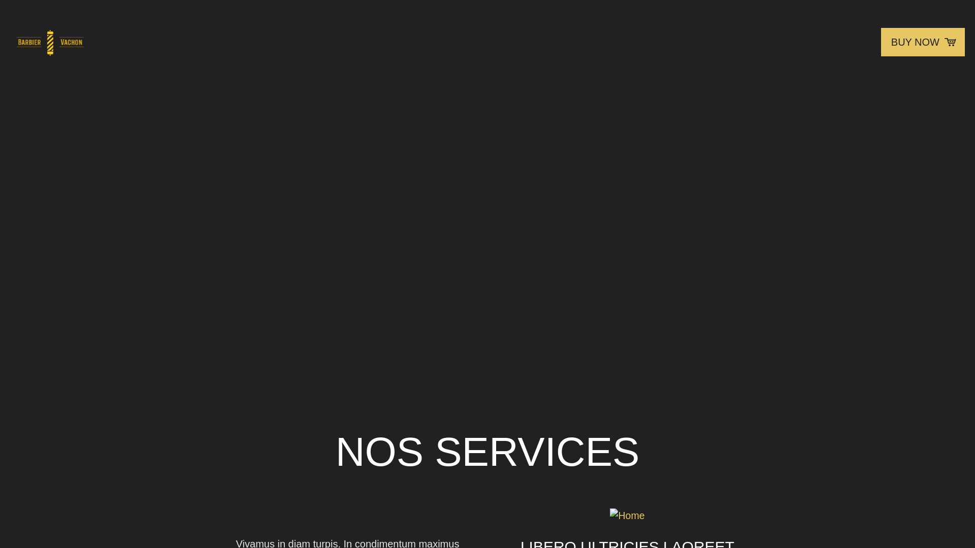 website screenshot of https://barbiervachon.com/