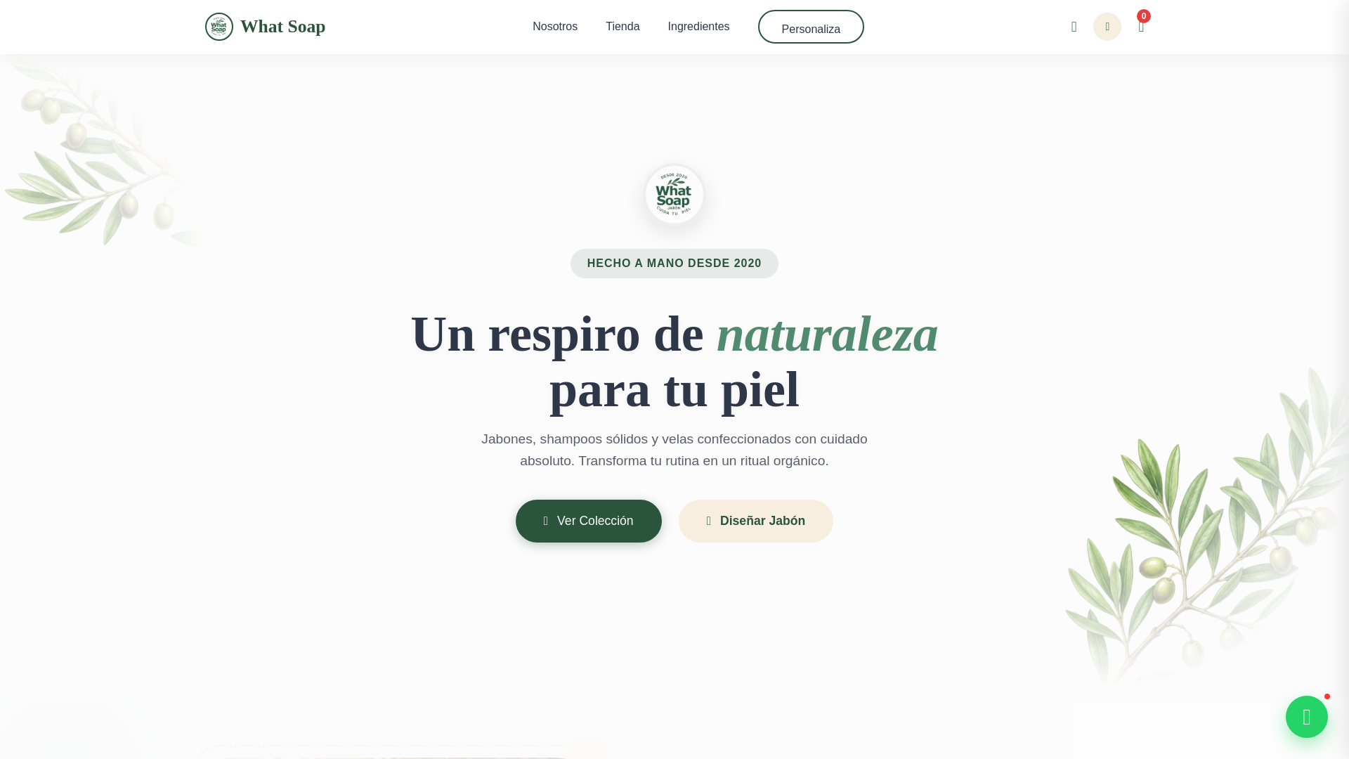 website screenshot of https://whatsoap.com.mx/