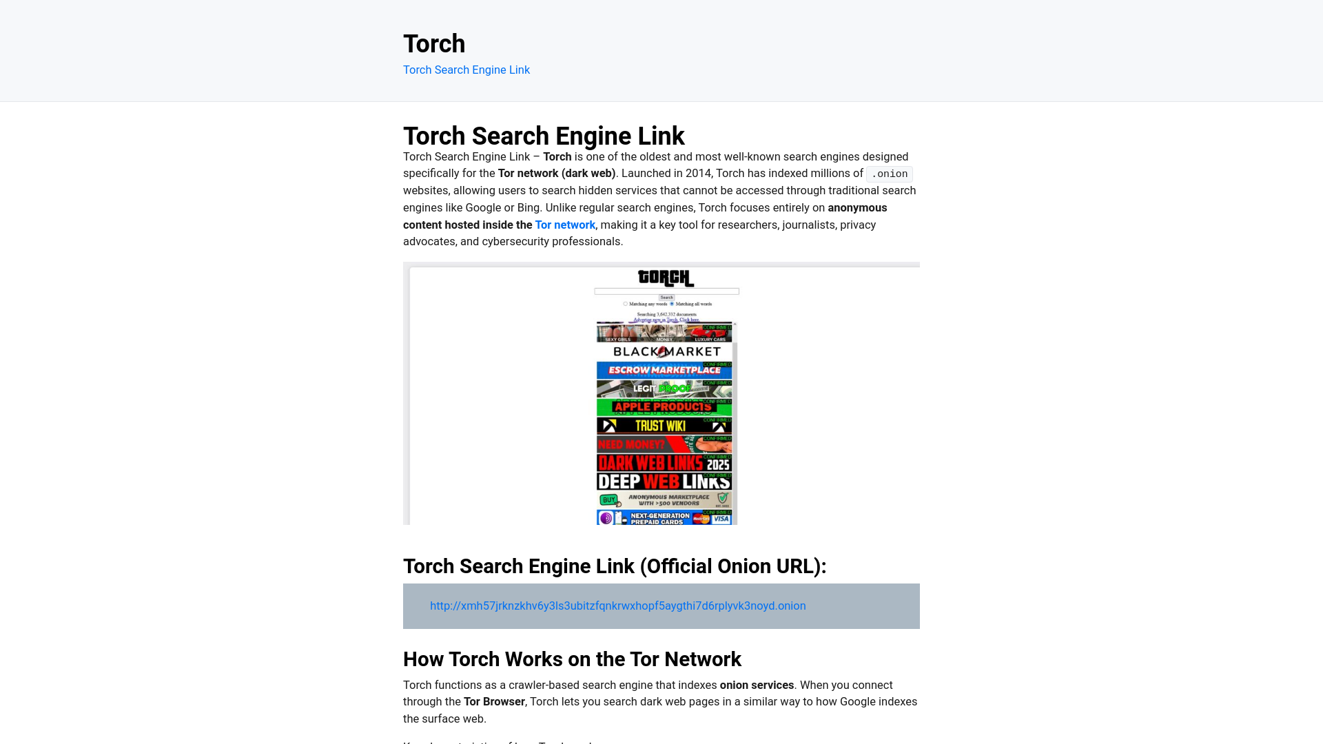 website screenshot of https://torchsearchengine.com/