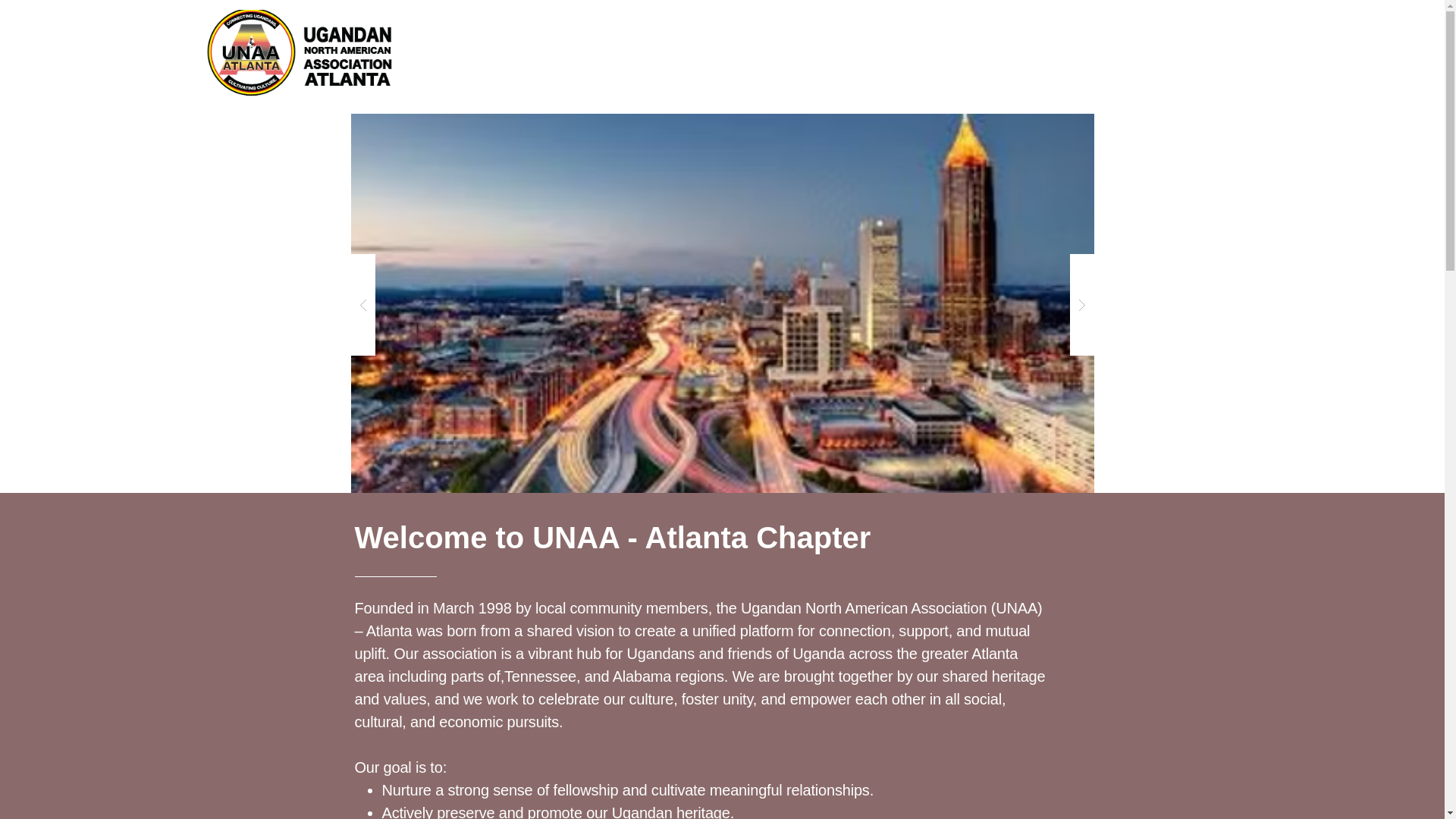 website screenshot of https://unaa-atlanta.com/