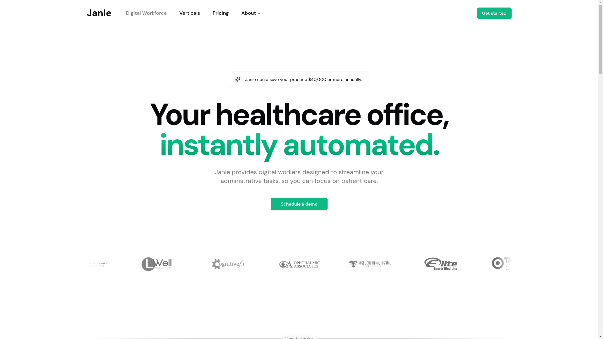 website screenshot of https://janie-novo.pages.dev/