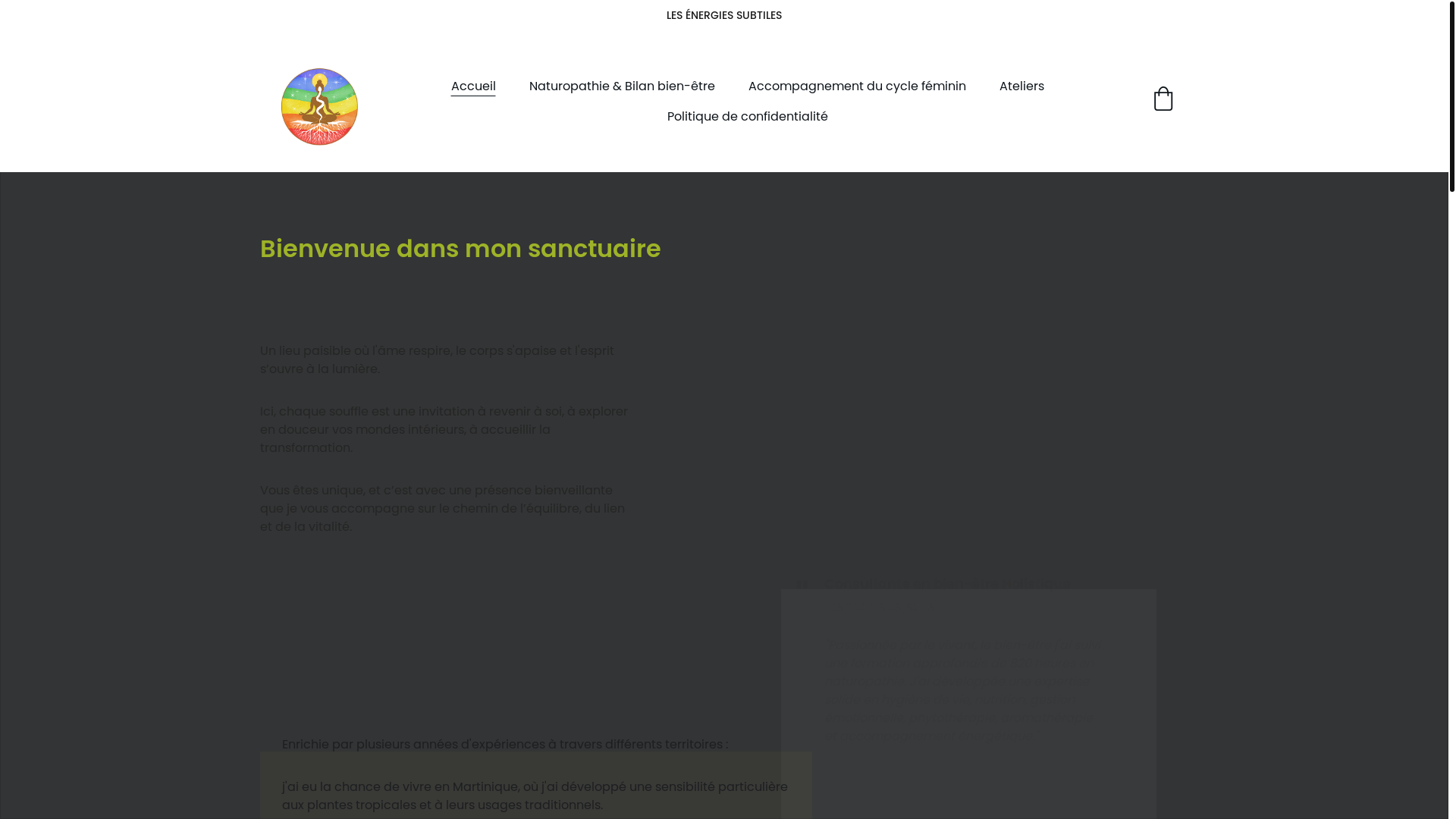 website screenshot of https://vitanatureholistique.com/