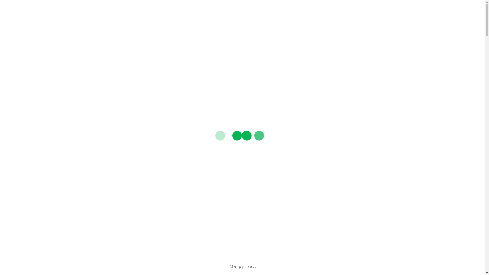 website screenshot of https://rentalecobike.pages.dev/