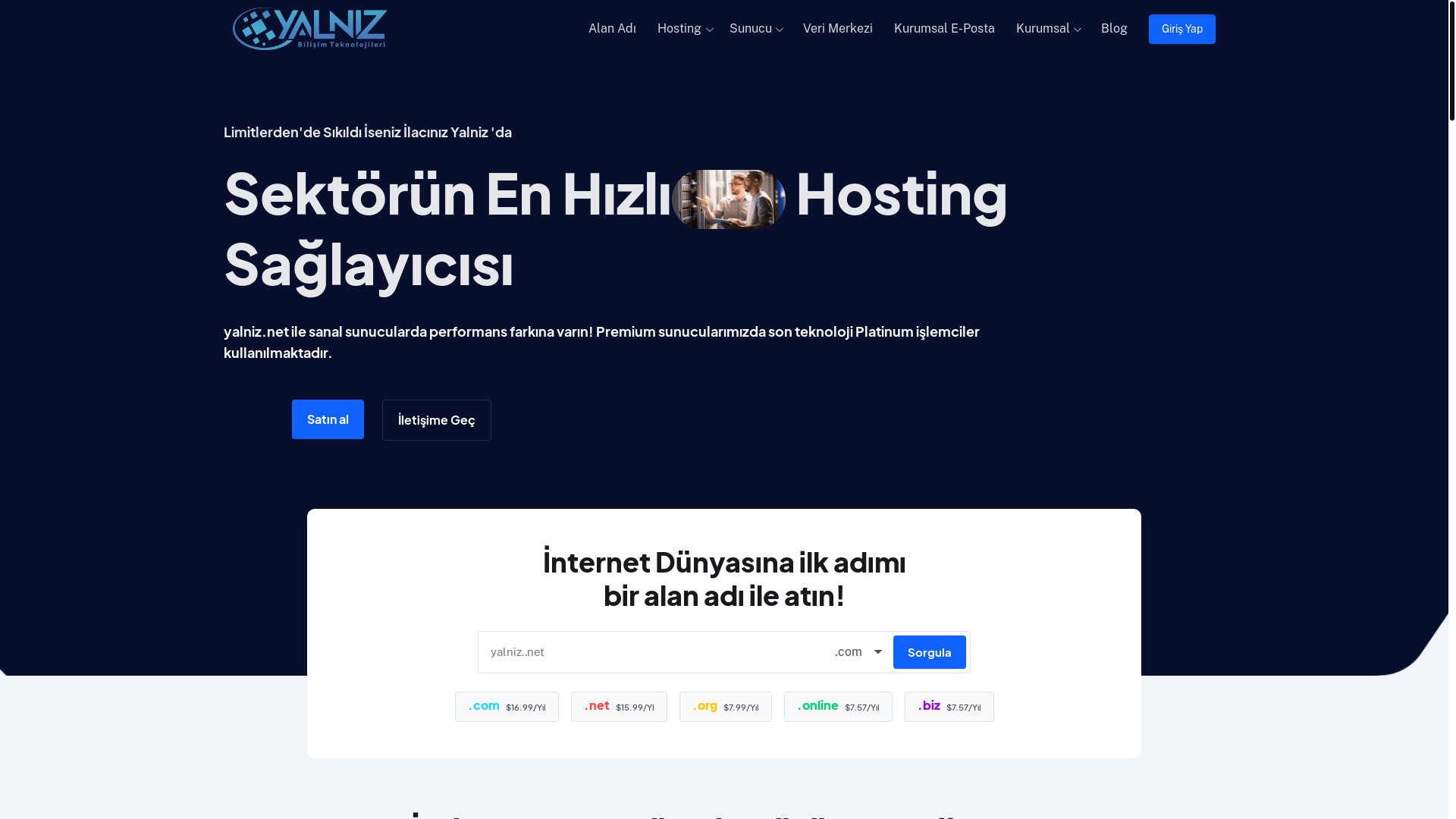 website screenshot of https://yalniz.net