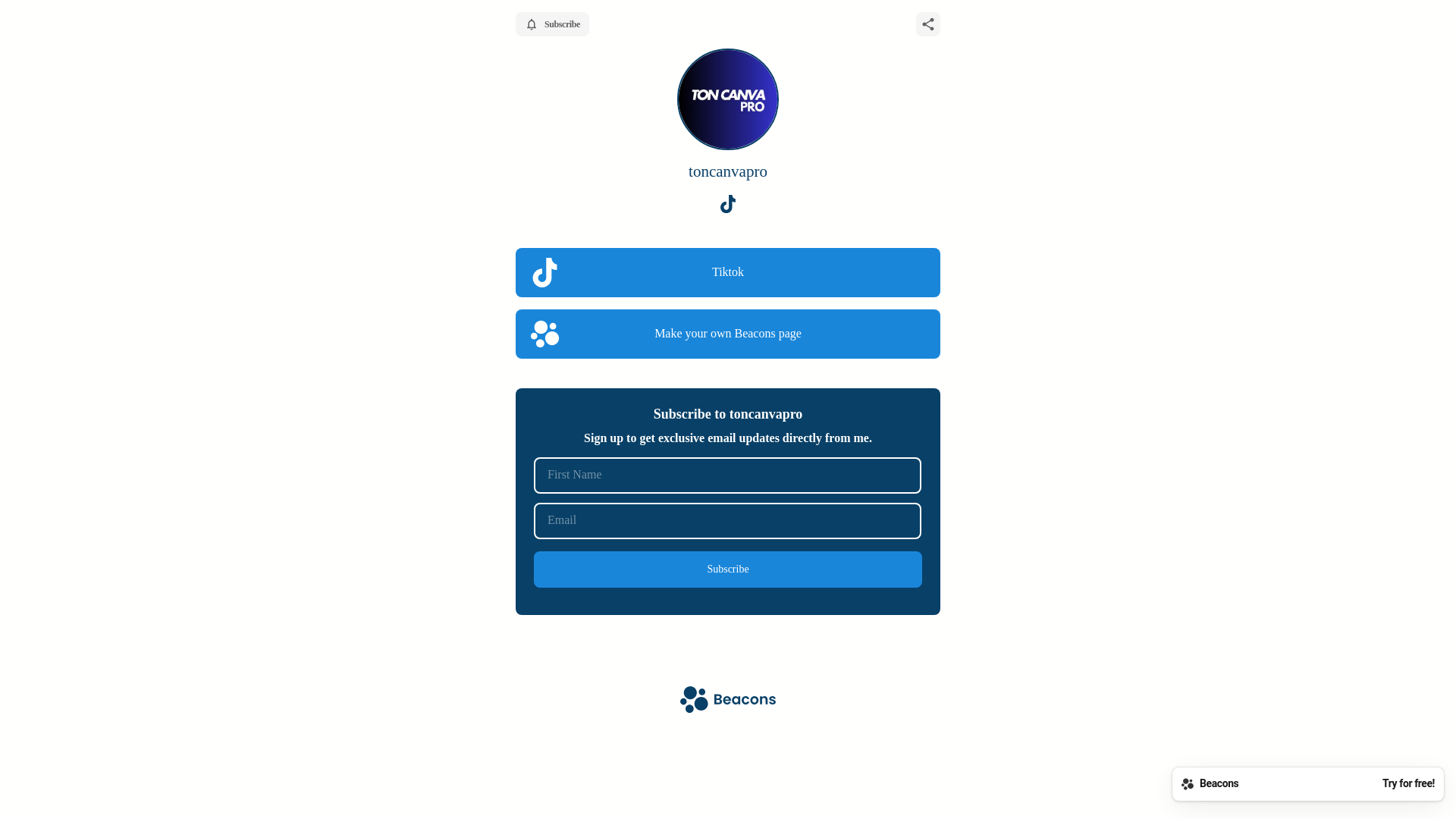 website screenshot of https://toncanvapro.com/
