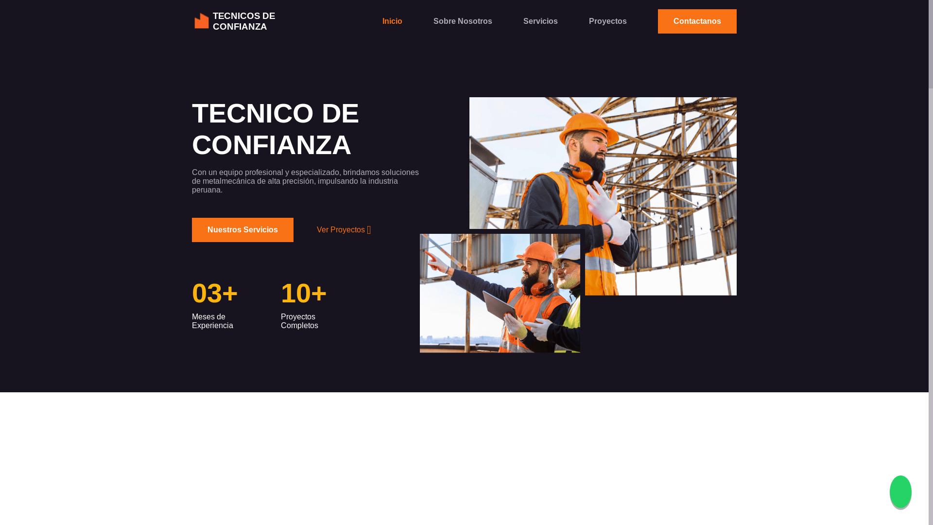 website screenshot of https://tecnicosdeconfianza.online/