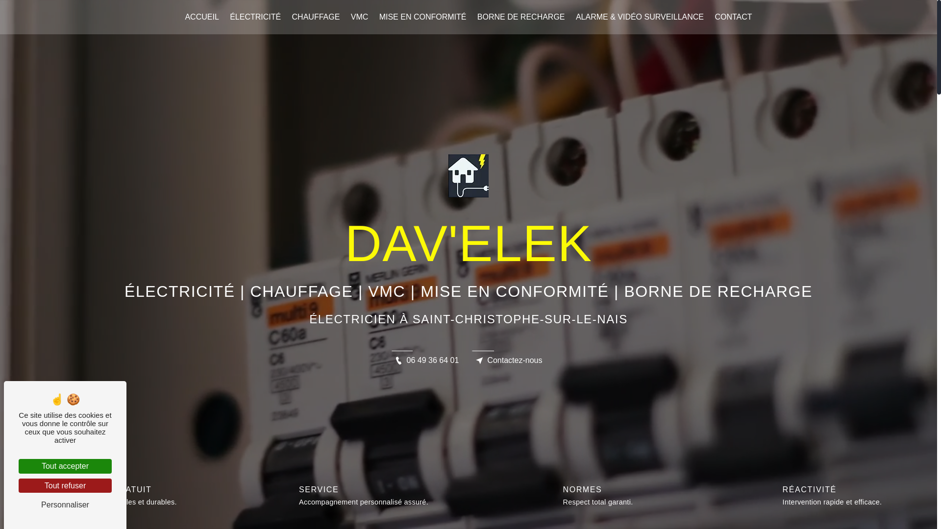 website screenshot of https://davelek-37.fr/
