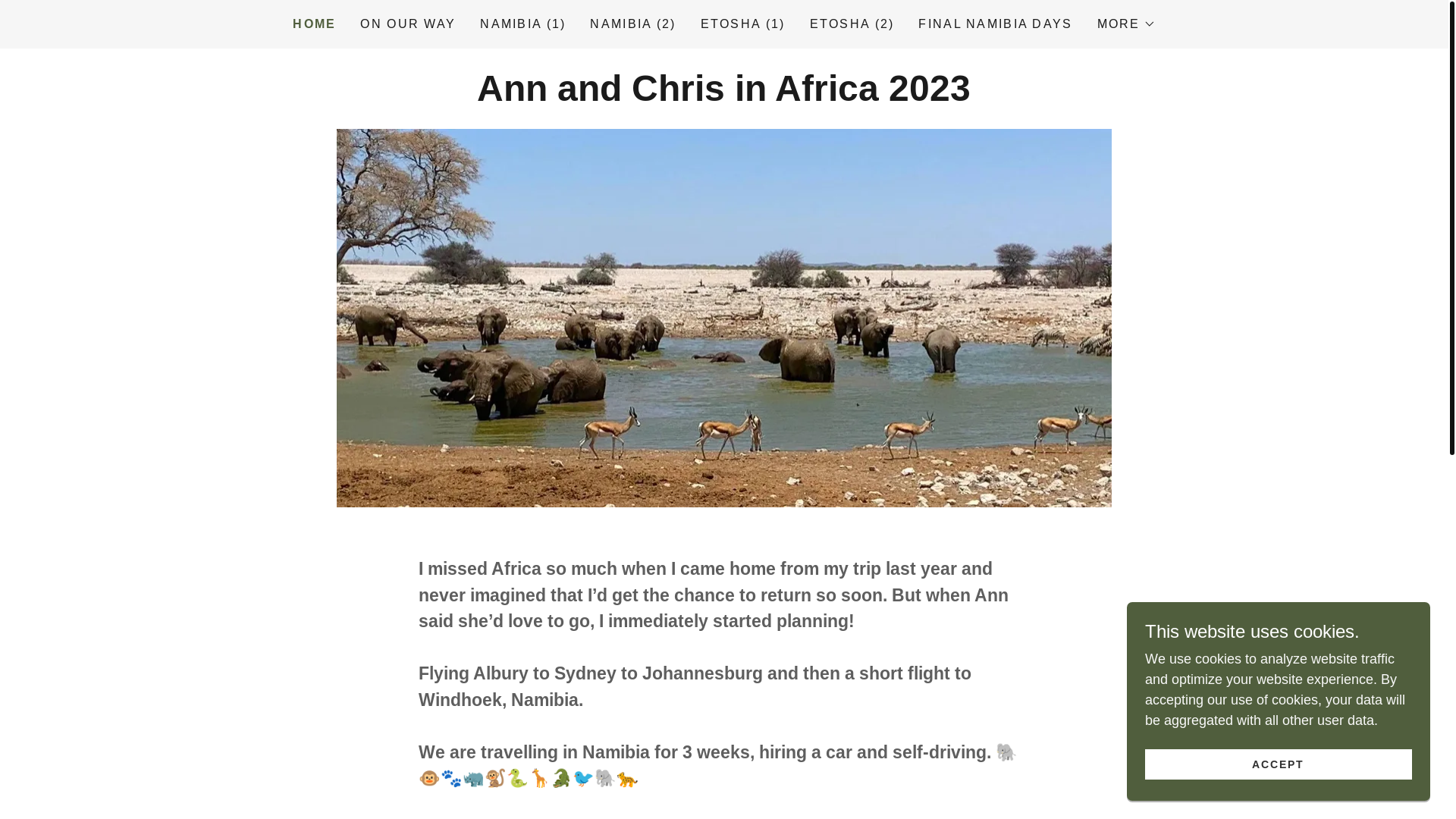 website screenshot of https://africa-2023.com/