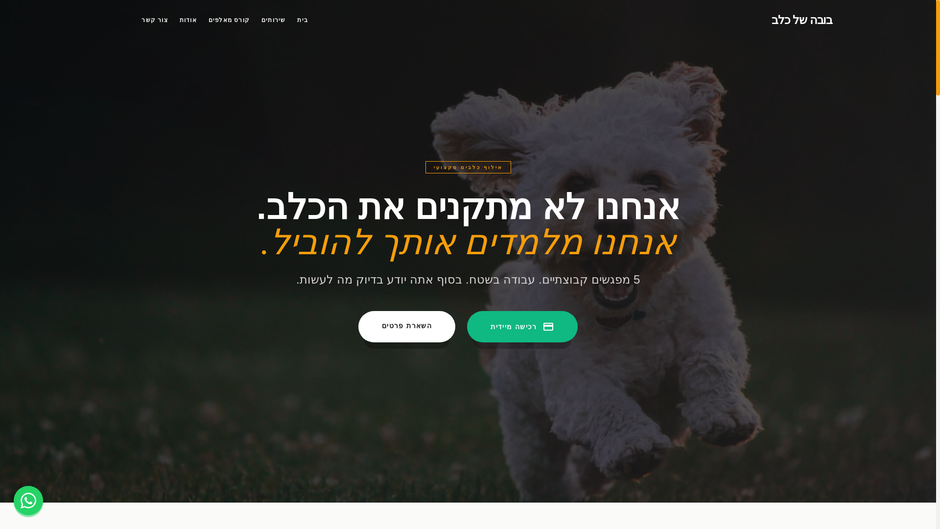 website screenshot of https://bubadog-landing.pages.dev/