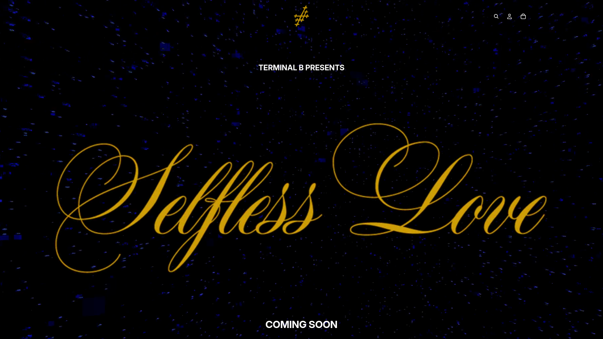 website screenshot of https://terminalb.world/