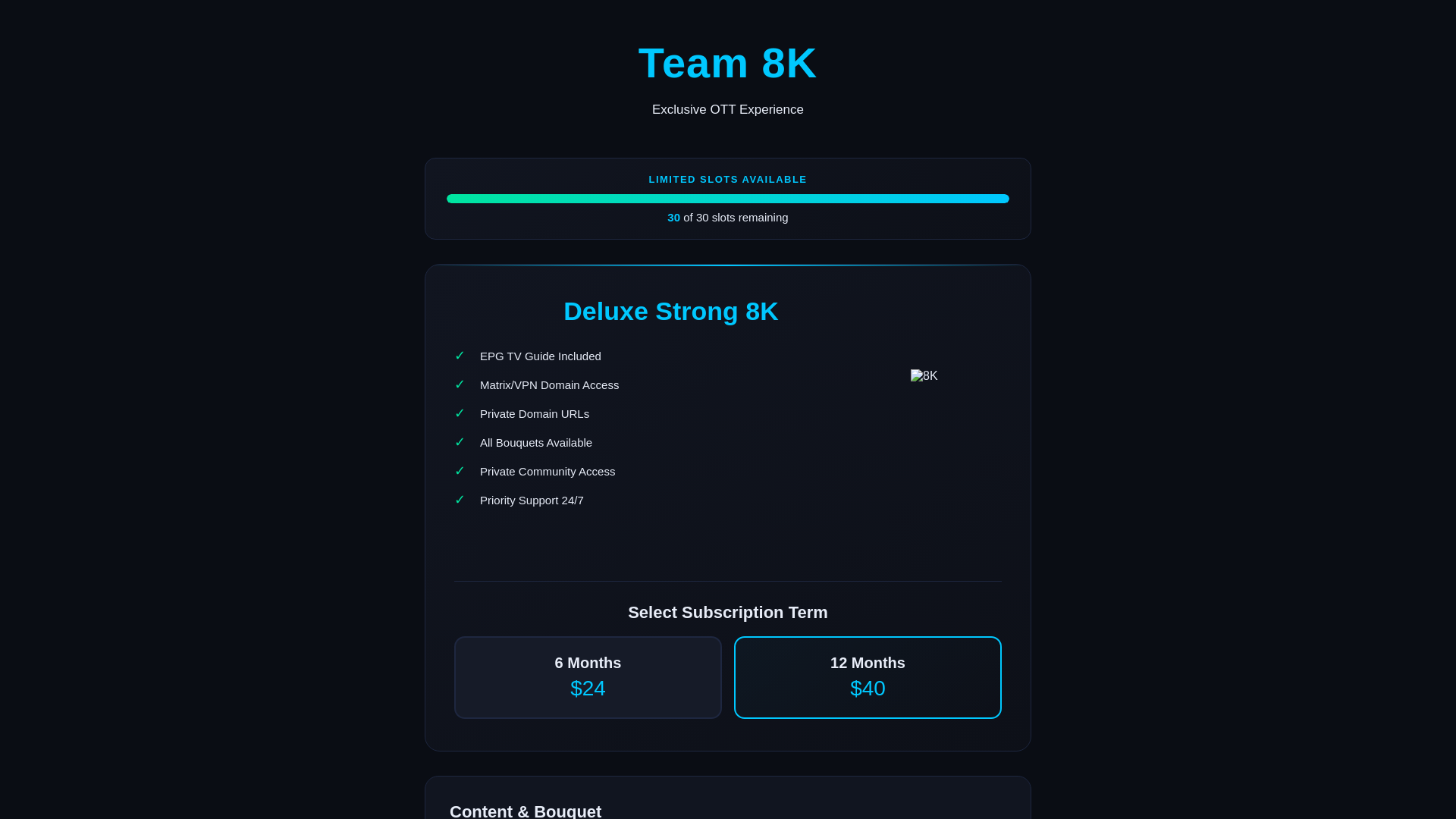 website screenshot of https://dedicated-team8k.store