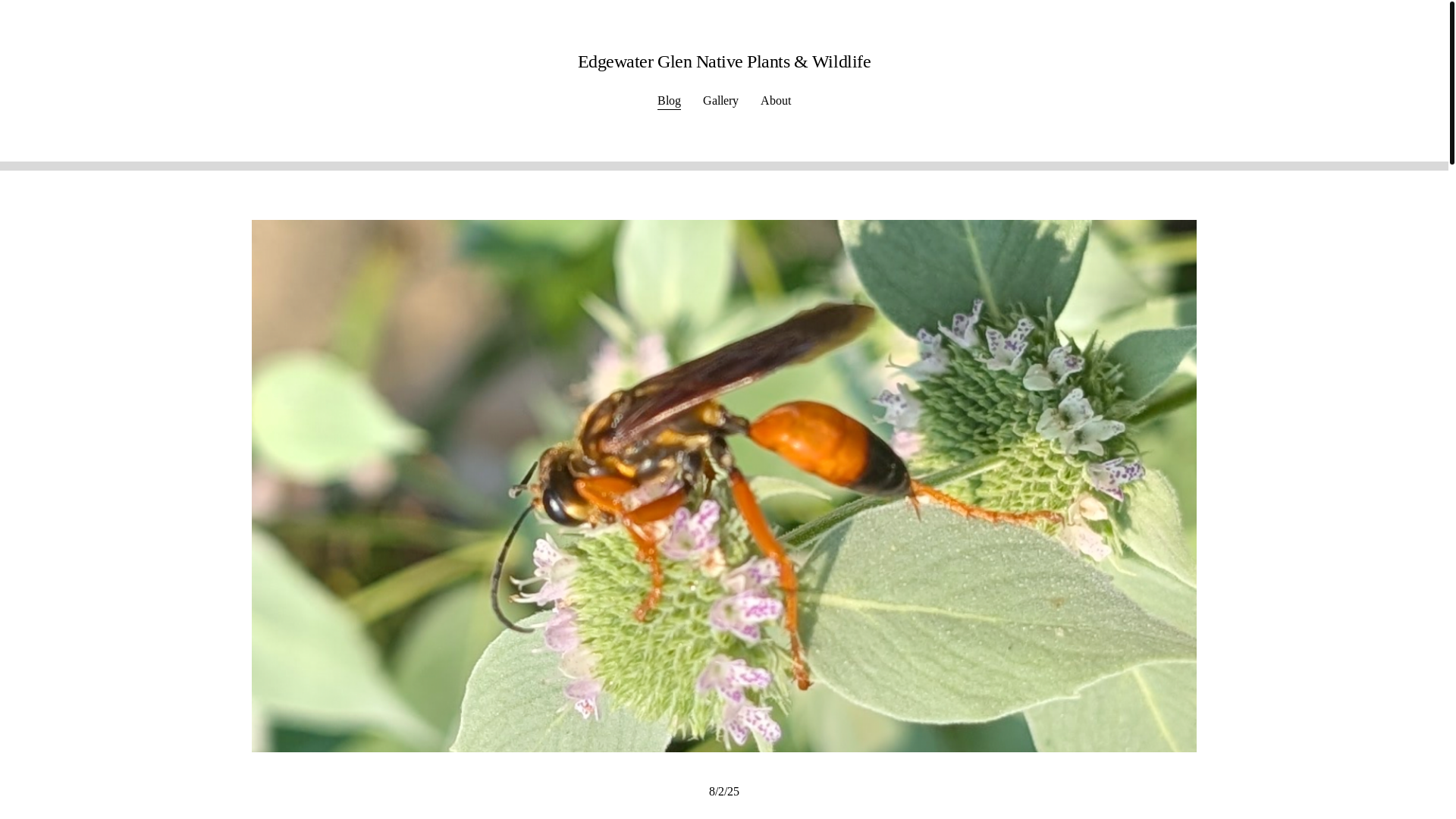 website screenshot of https://glennatives.com/