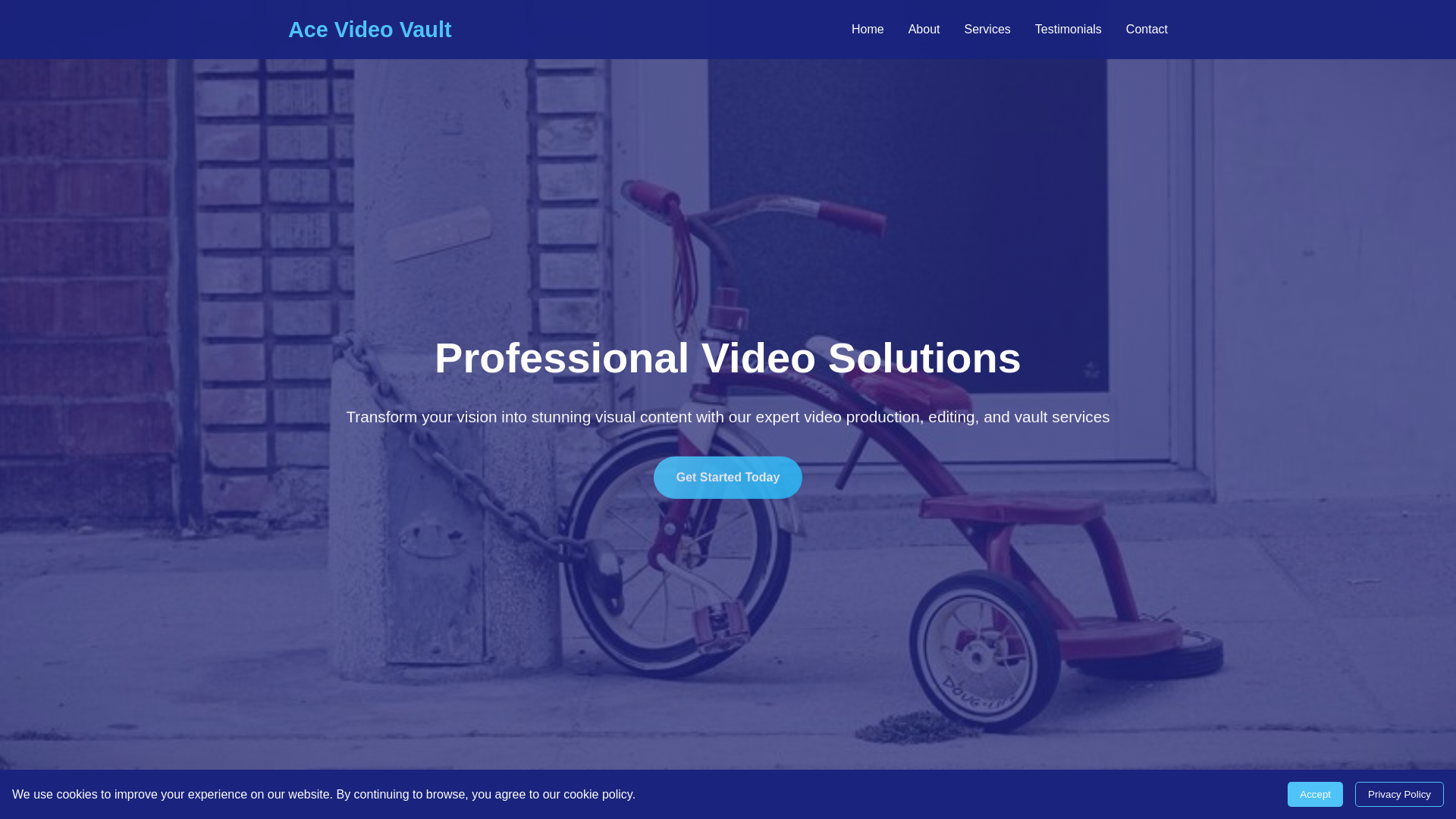 website screenshot of https://acevideovault.click/