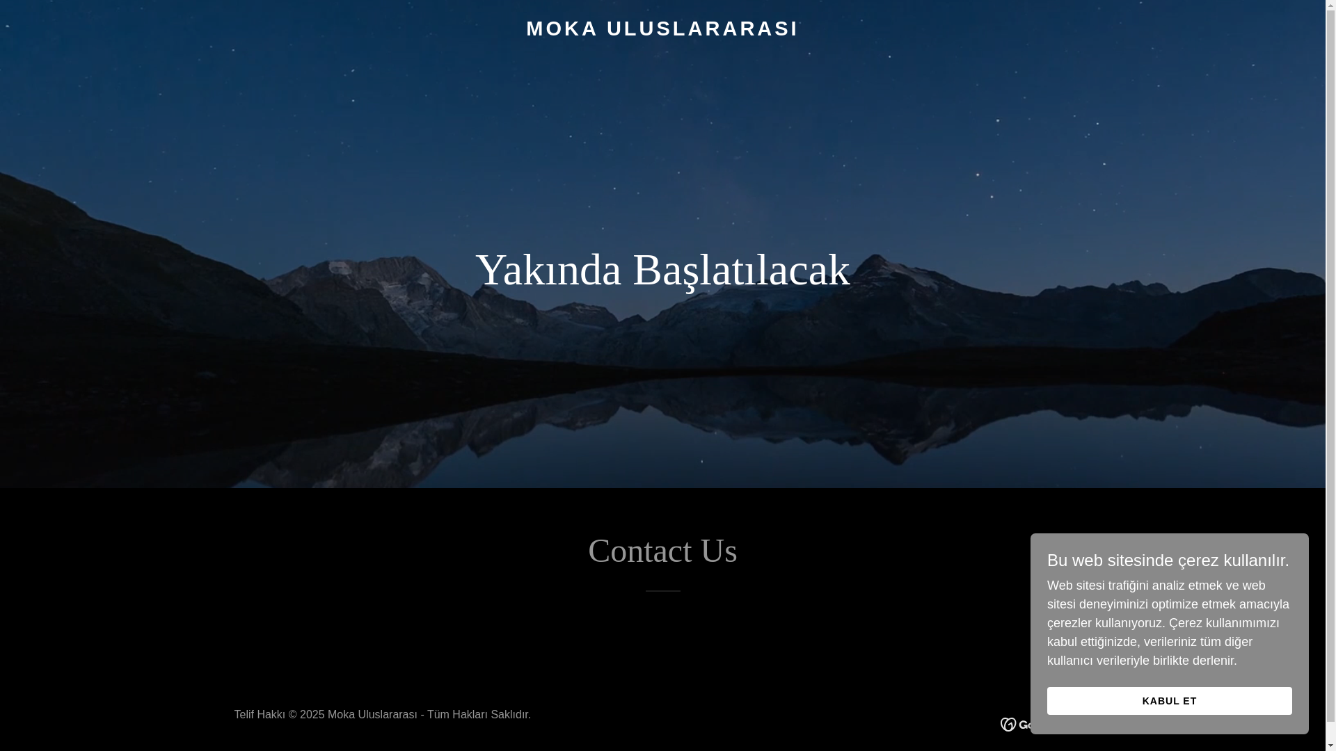website screenshot of https://mockainternational.nl/