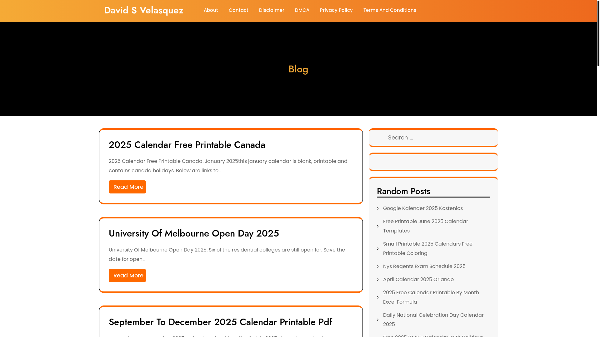 website screenshot of https://davidsvelasquezp.pages.dev/