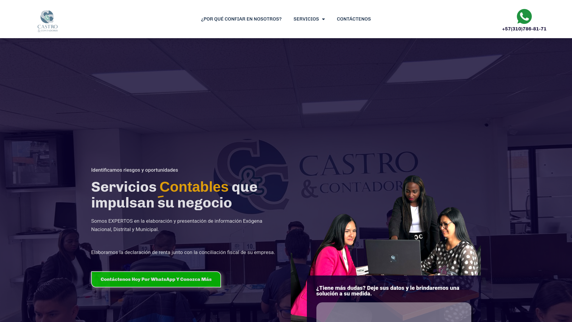 website screenshot of https://castroycontadores.com