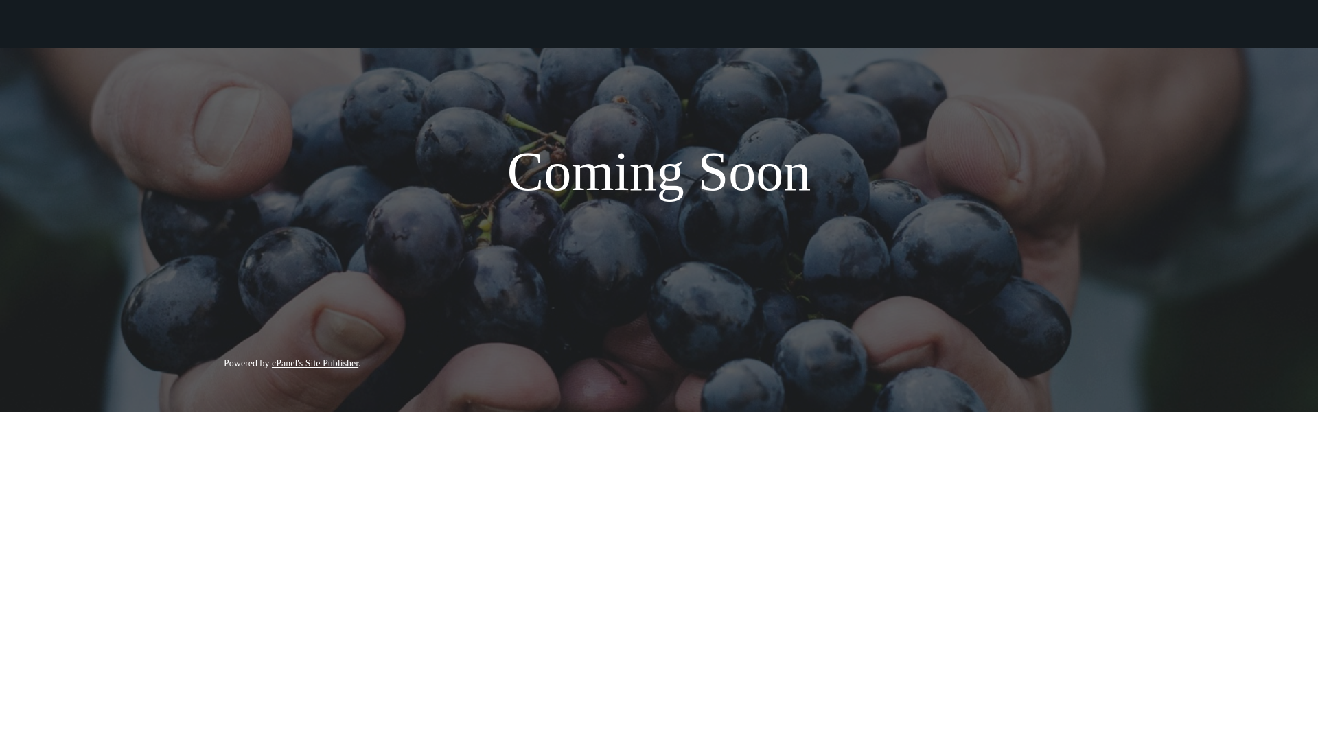 website screenshot of https://yiehboat.co.ke/