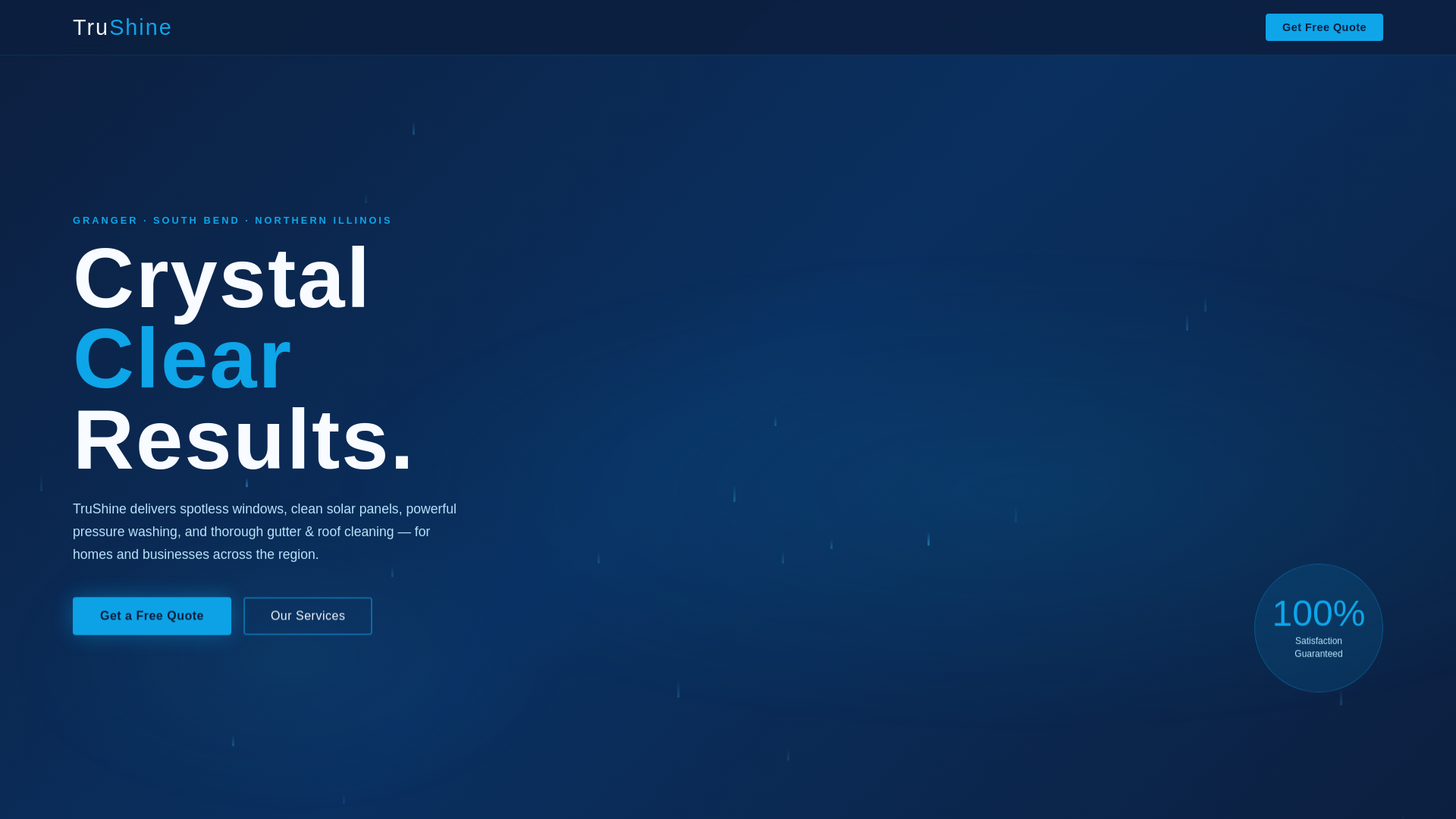 website screenshot of https://trushineexteriorcleaning.com/