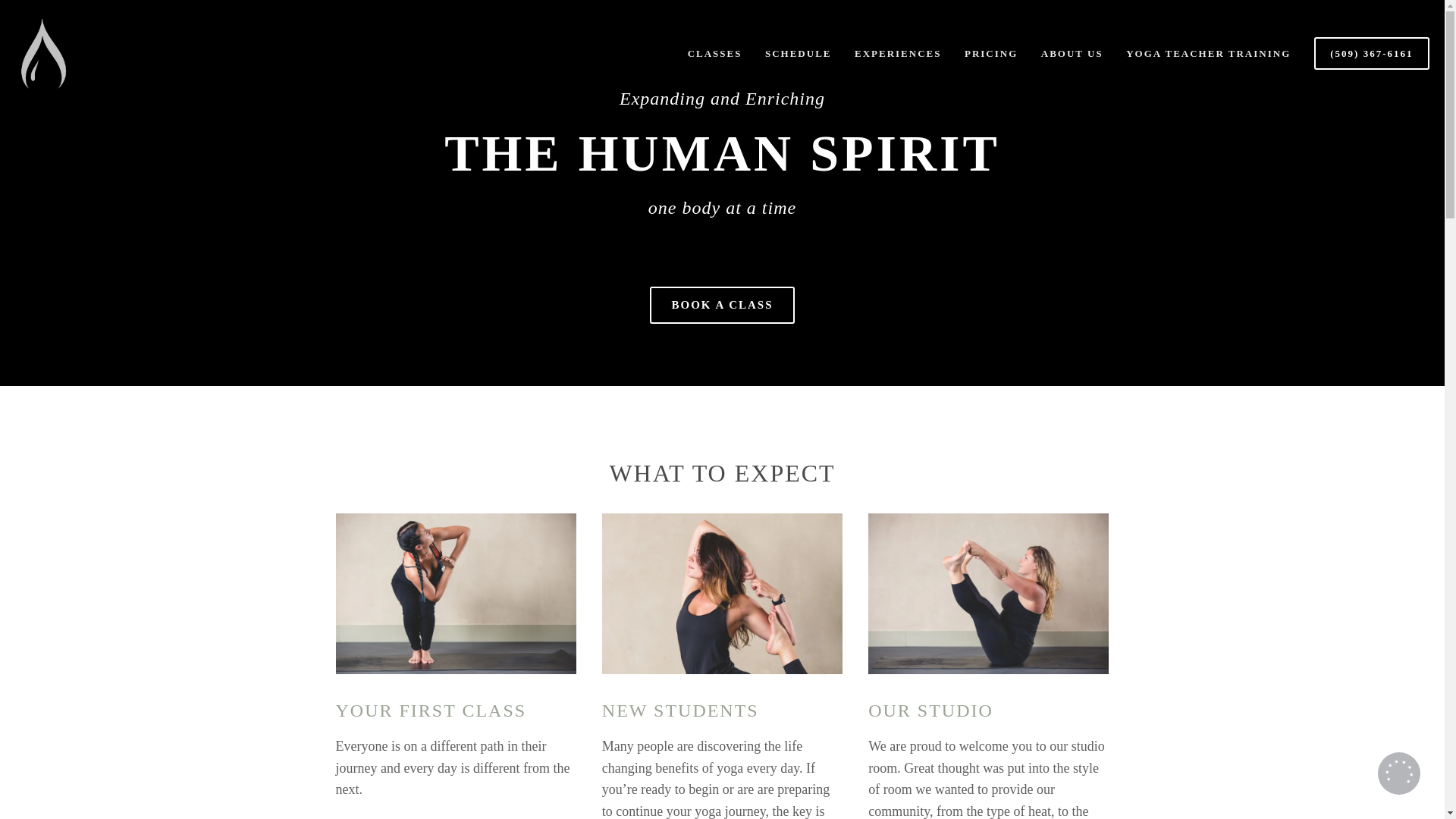 website screenshot of https://renuhotyogaandpilates.com/
