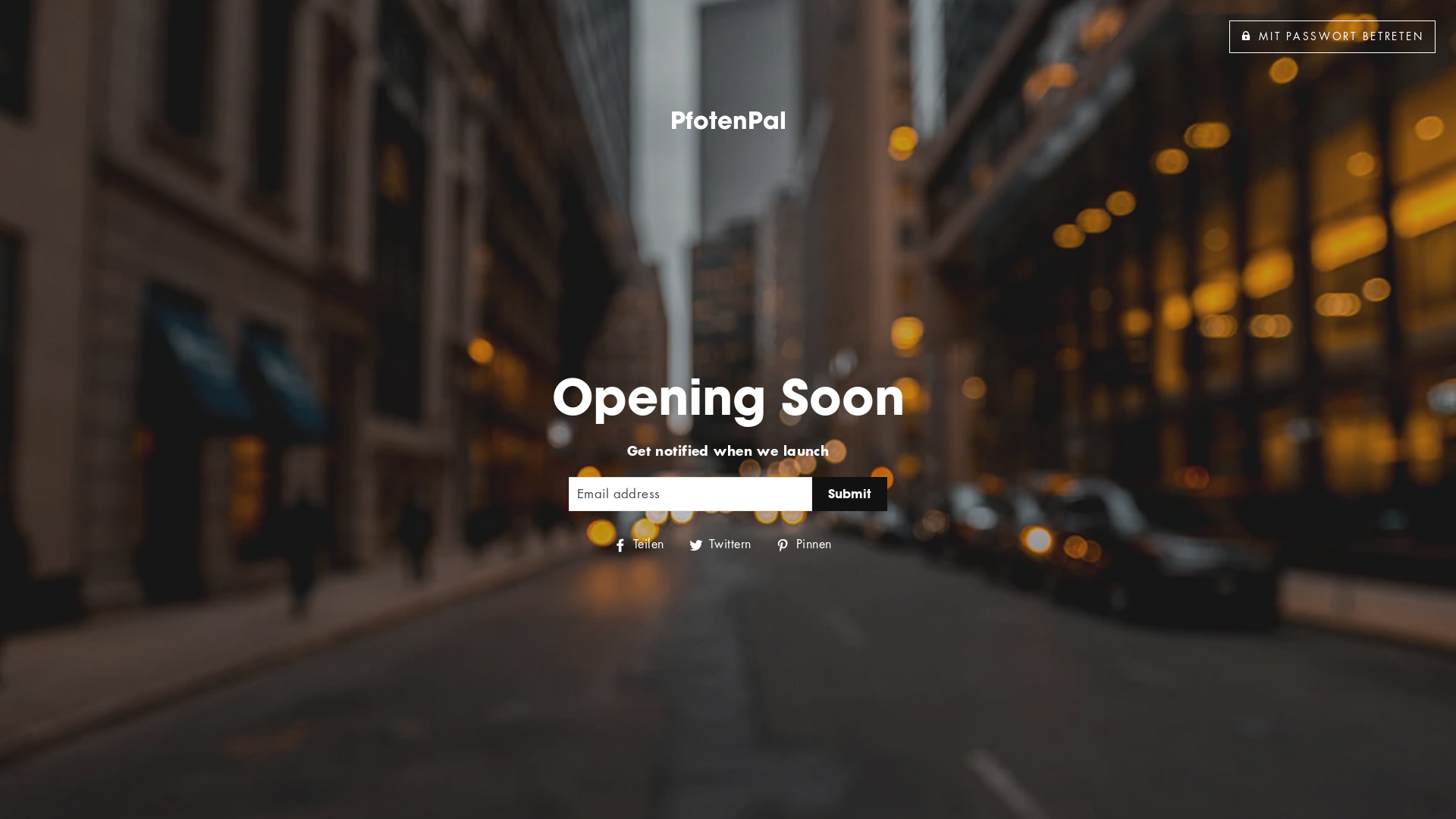 website screenshot of https://pfotenpal.de/