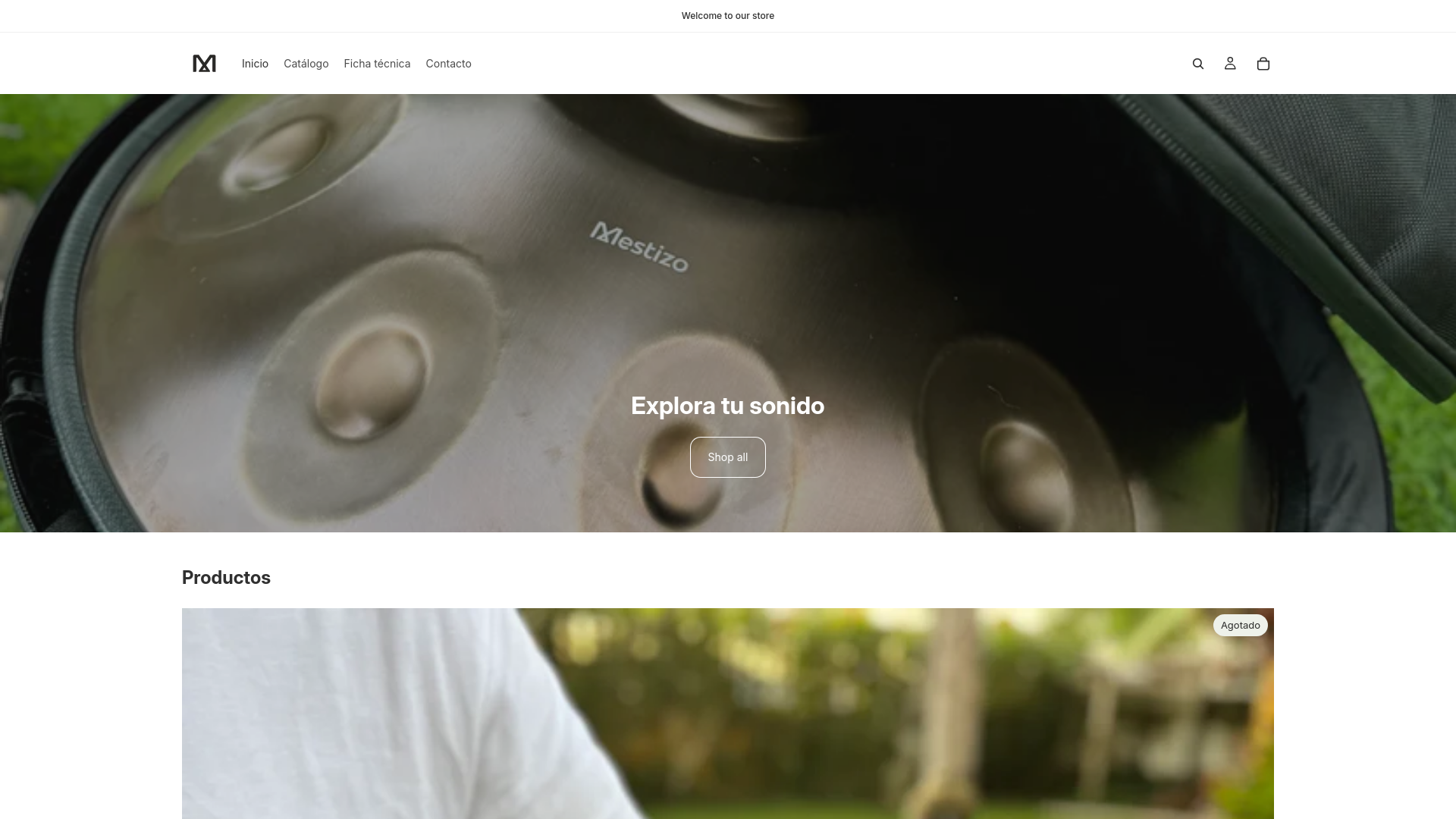 website screenshot of https://mestizoinstruments.com/