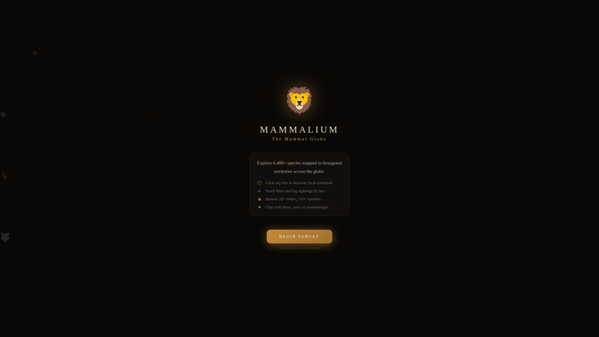 website screenshot of https://mammalium.com/