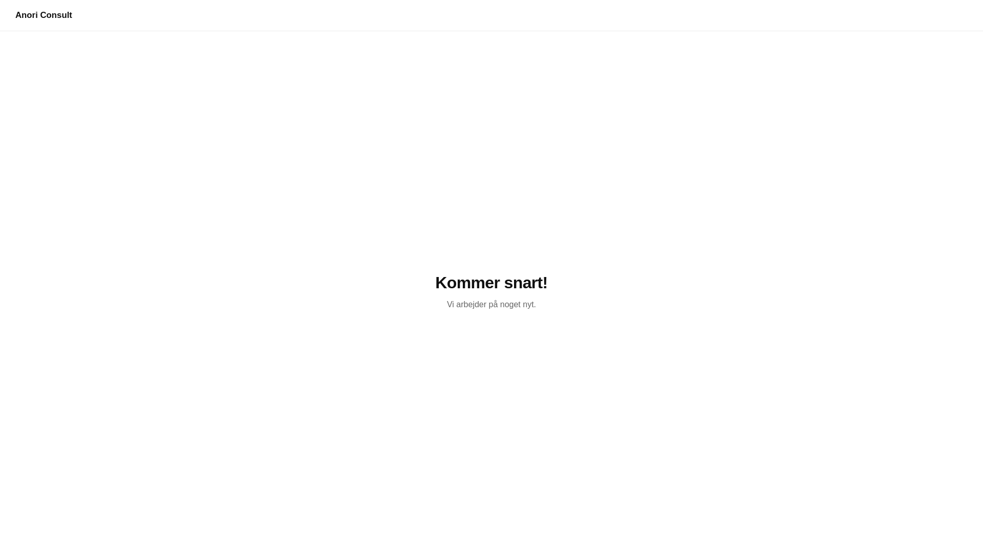 website screenshot of https://anoriconsult.gl/