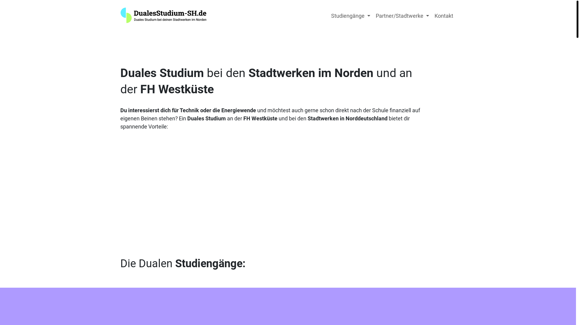 website screenshot of https://dualesstudium-niedersachsen.de/