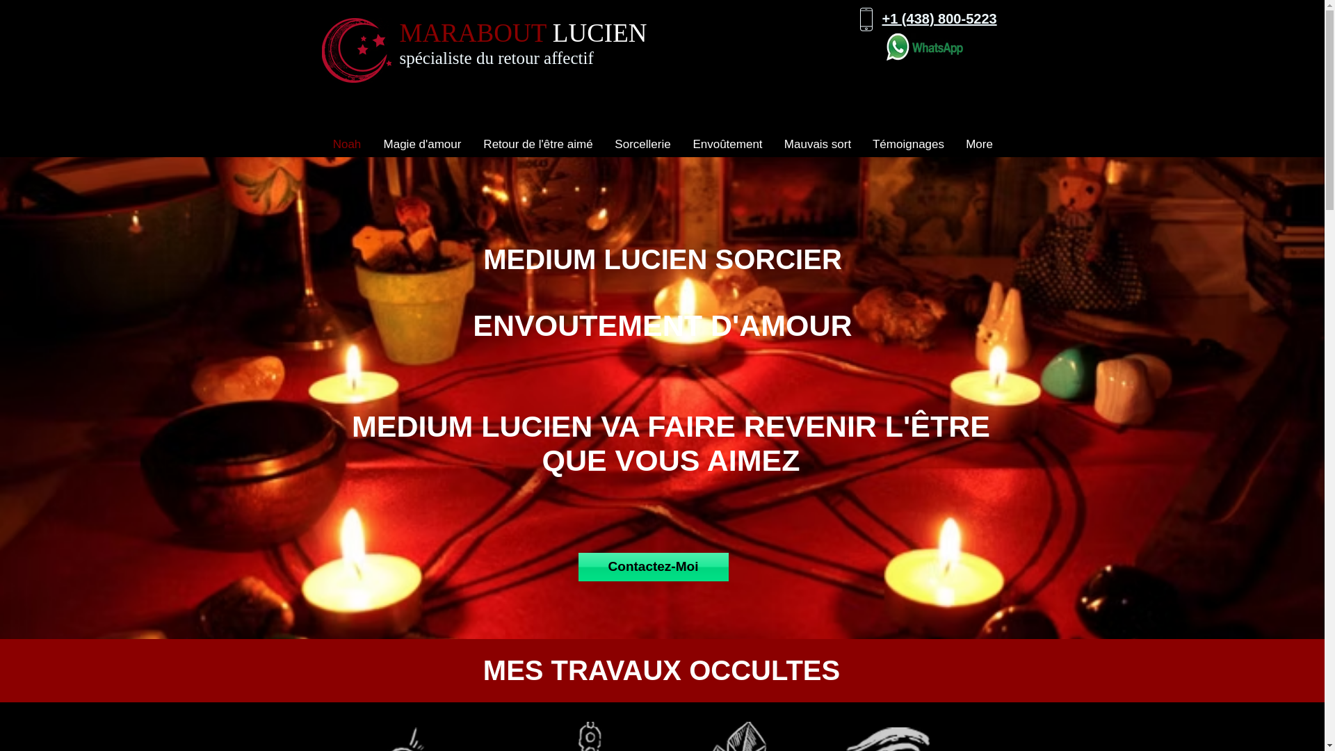 website screenshot of https://professeur-lucien.com/