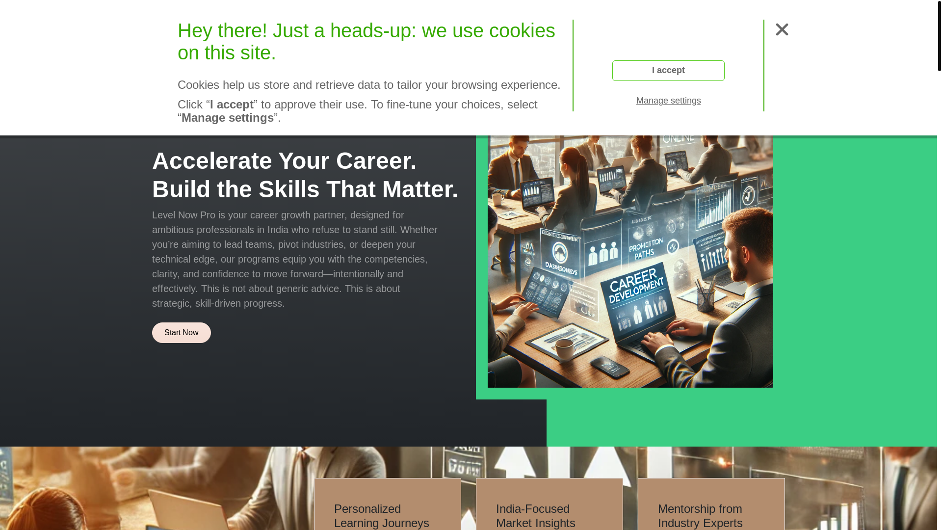 website screenshot of https://levelnowprof.com/
