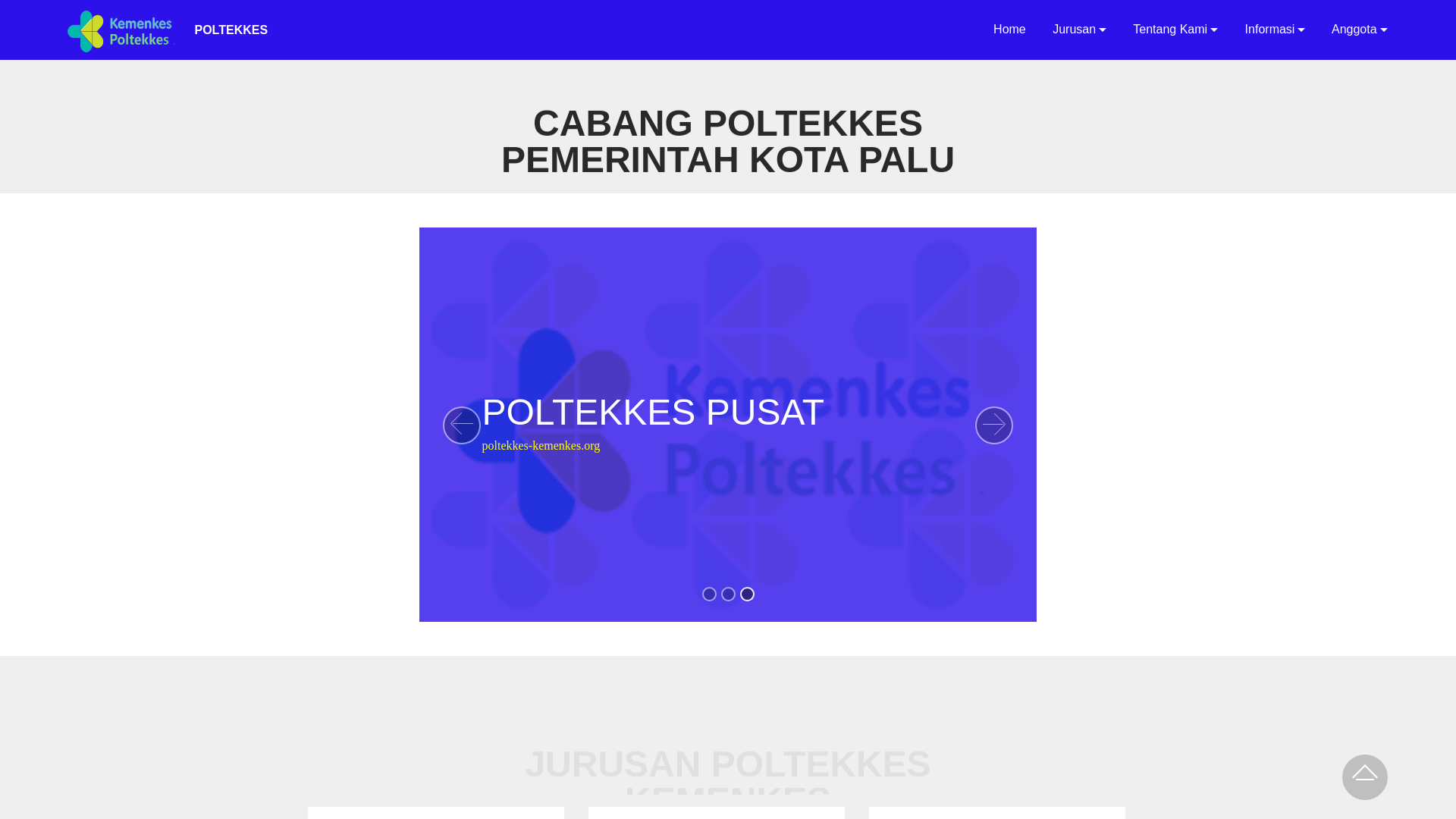 website screenshot of https://poltekkespalu.io