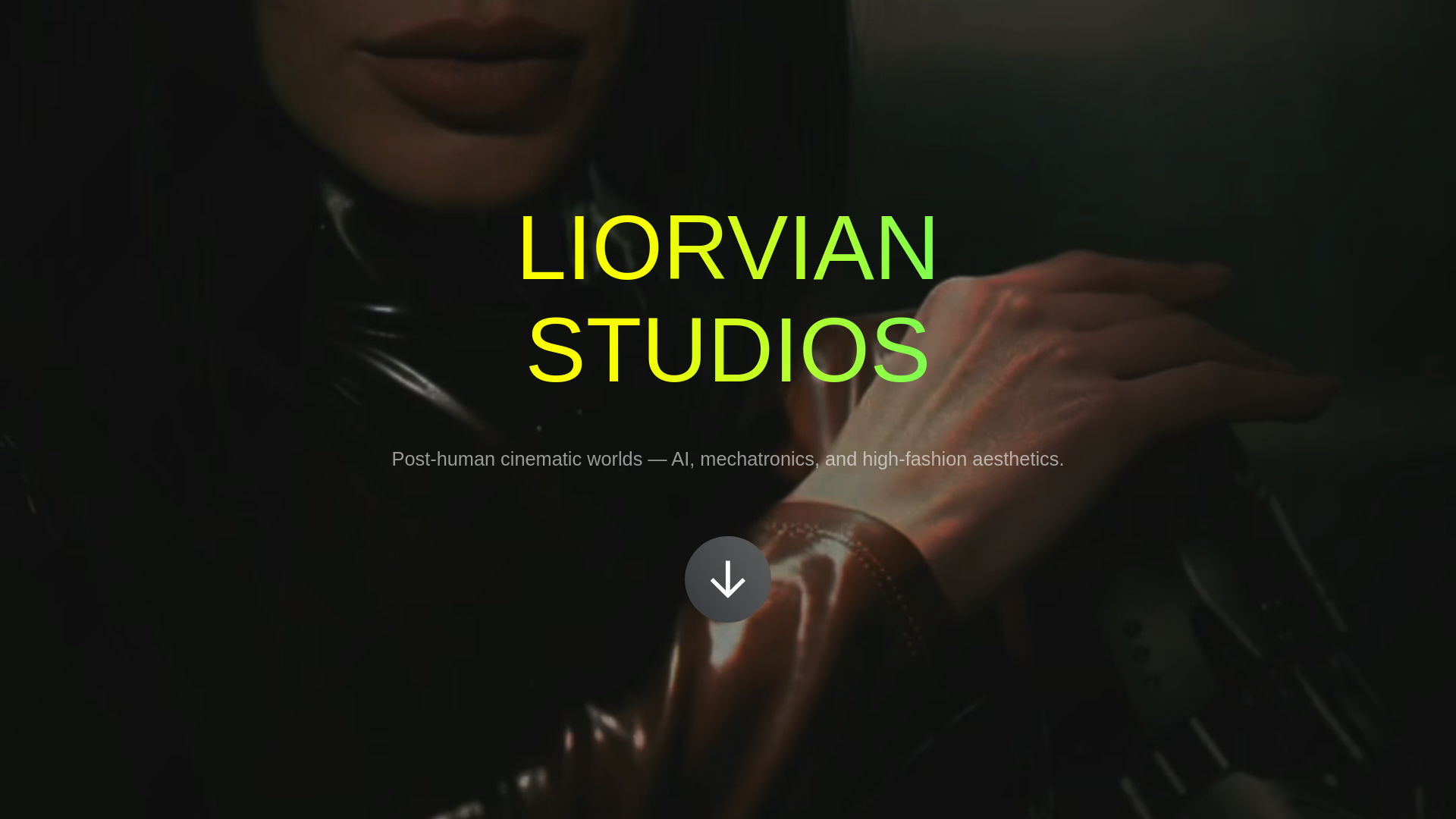 website screenshot of https://liorvianstudios.com/