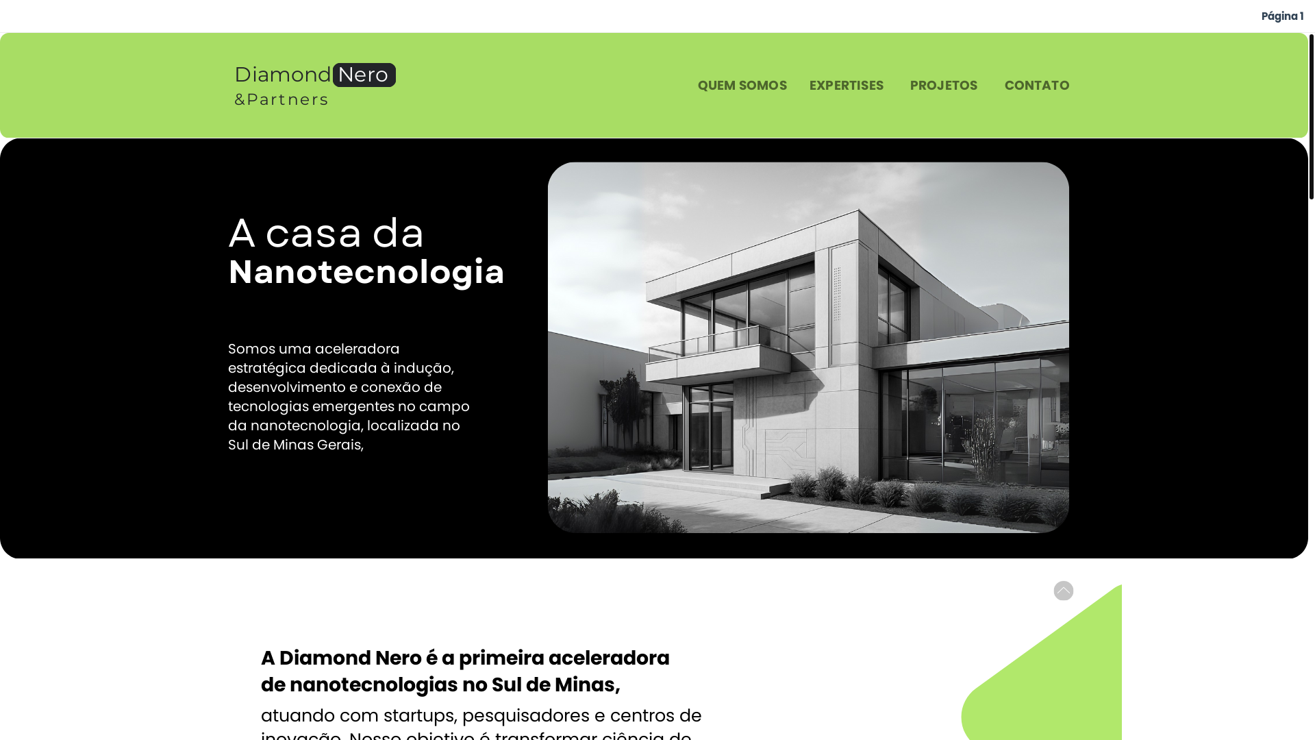 website screenshot of https://diamondnero.com.br/