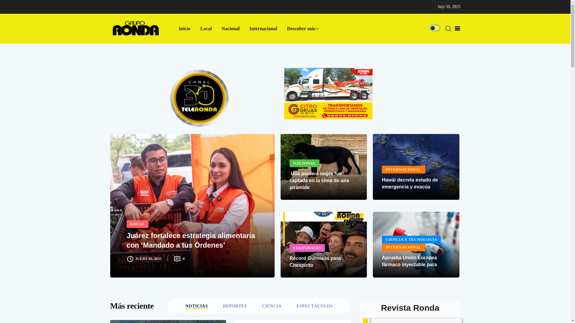 website screenshot of https://gruporonda.com.mx