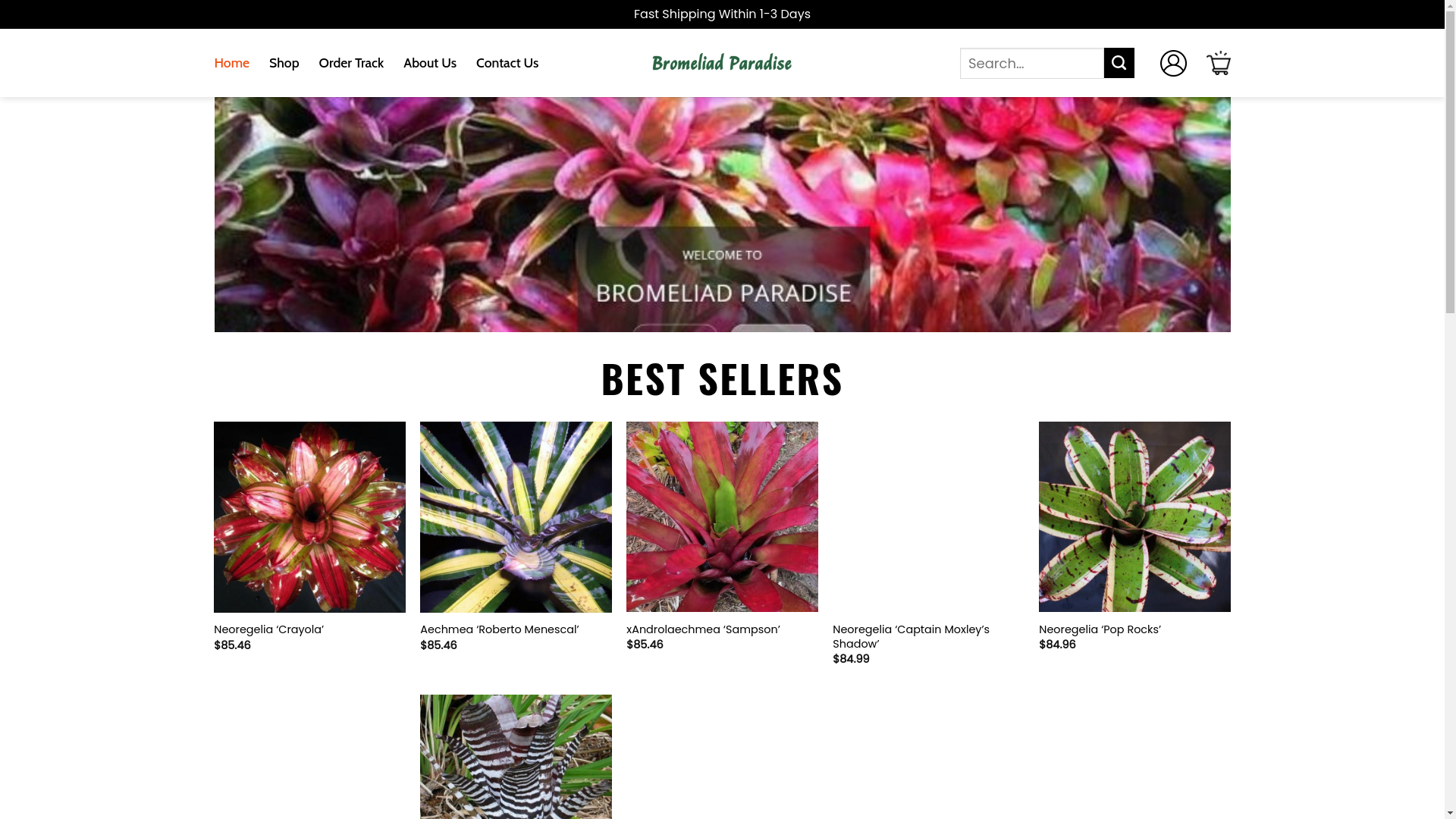 website screenshot of https://globalbromeliadparadise.shop/