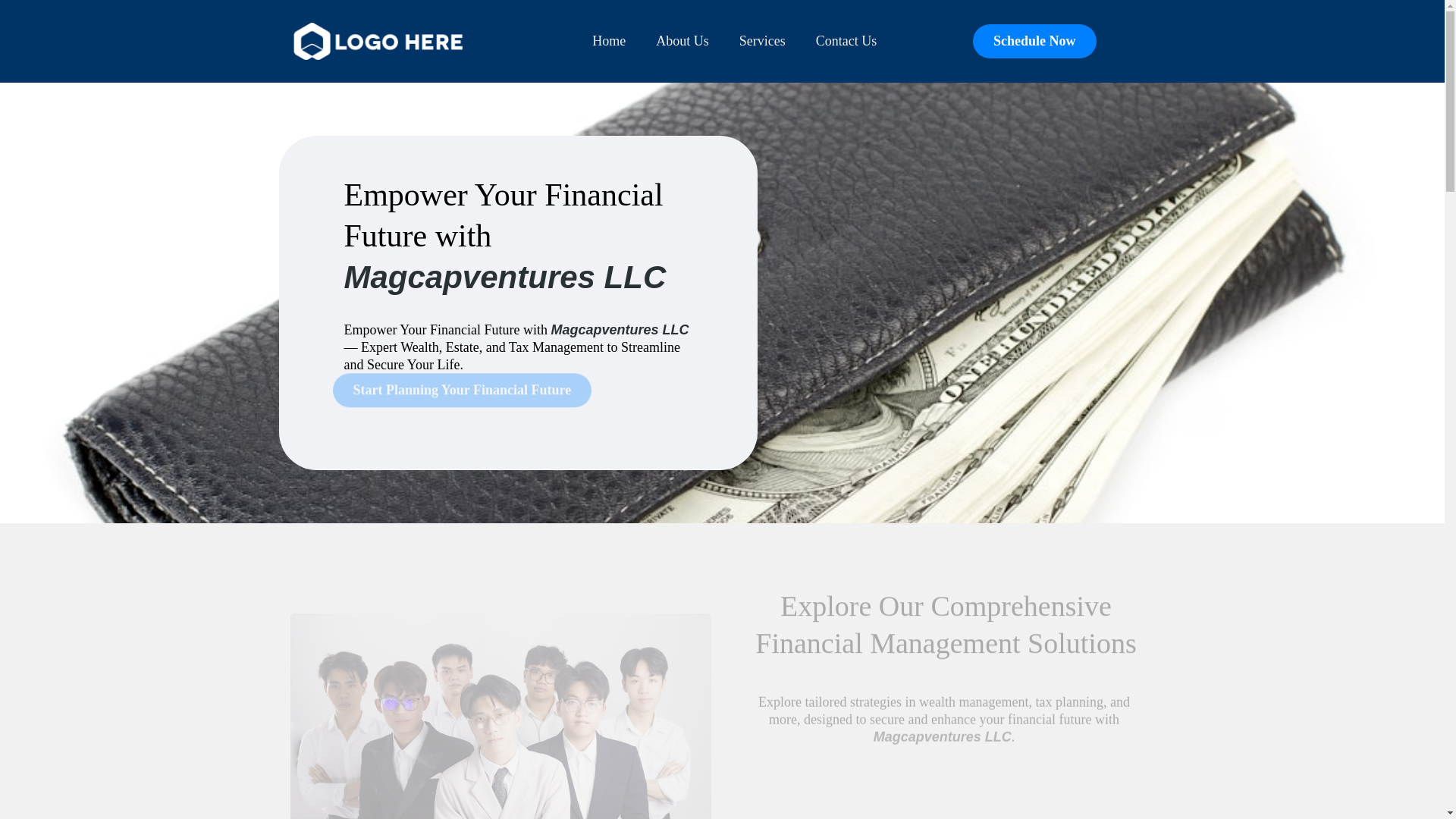 website screenshot of https://magcapventures.com/