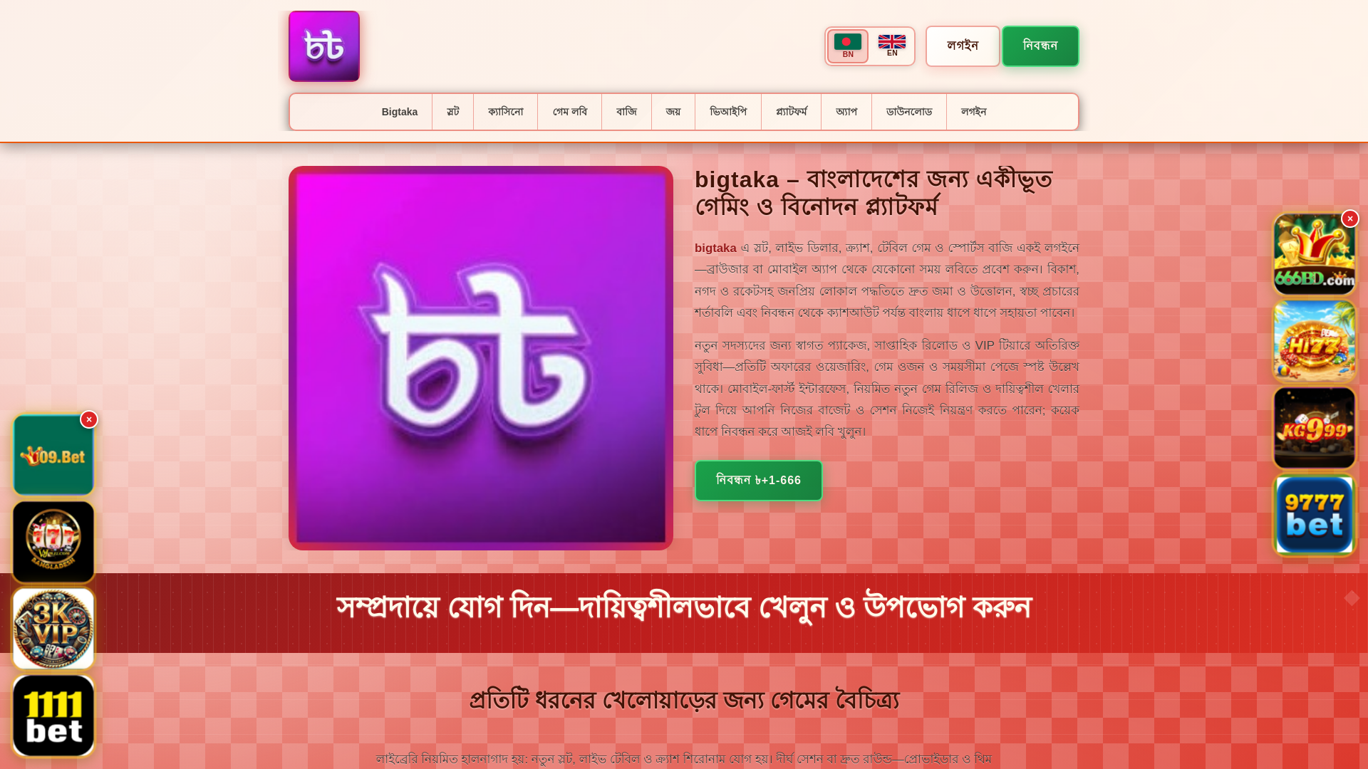 website screenshot of https://bigtakasaat.com/