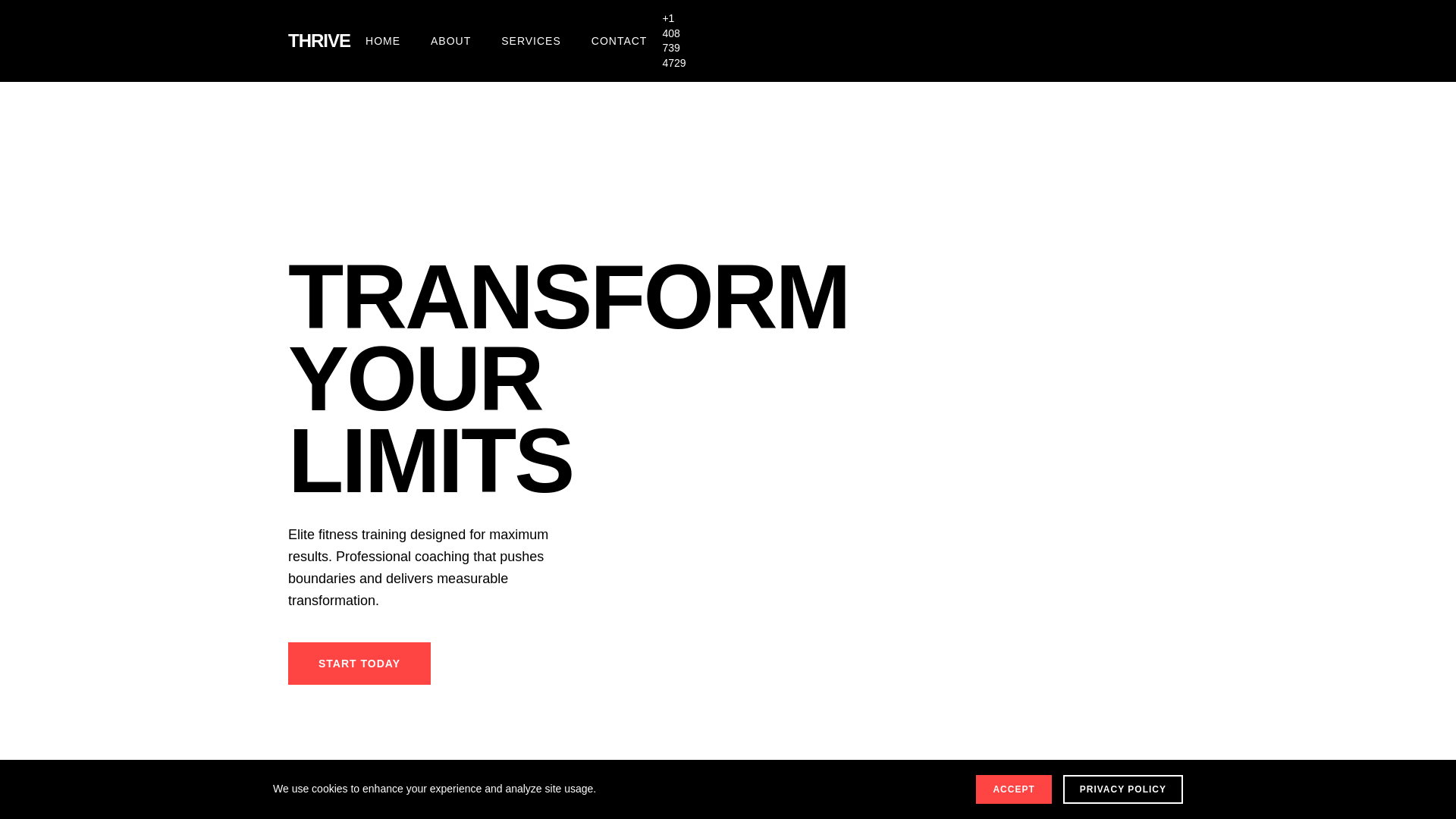 website screenshot of https://thrivefitnessfocus.click