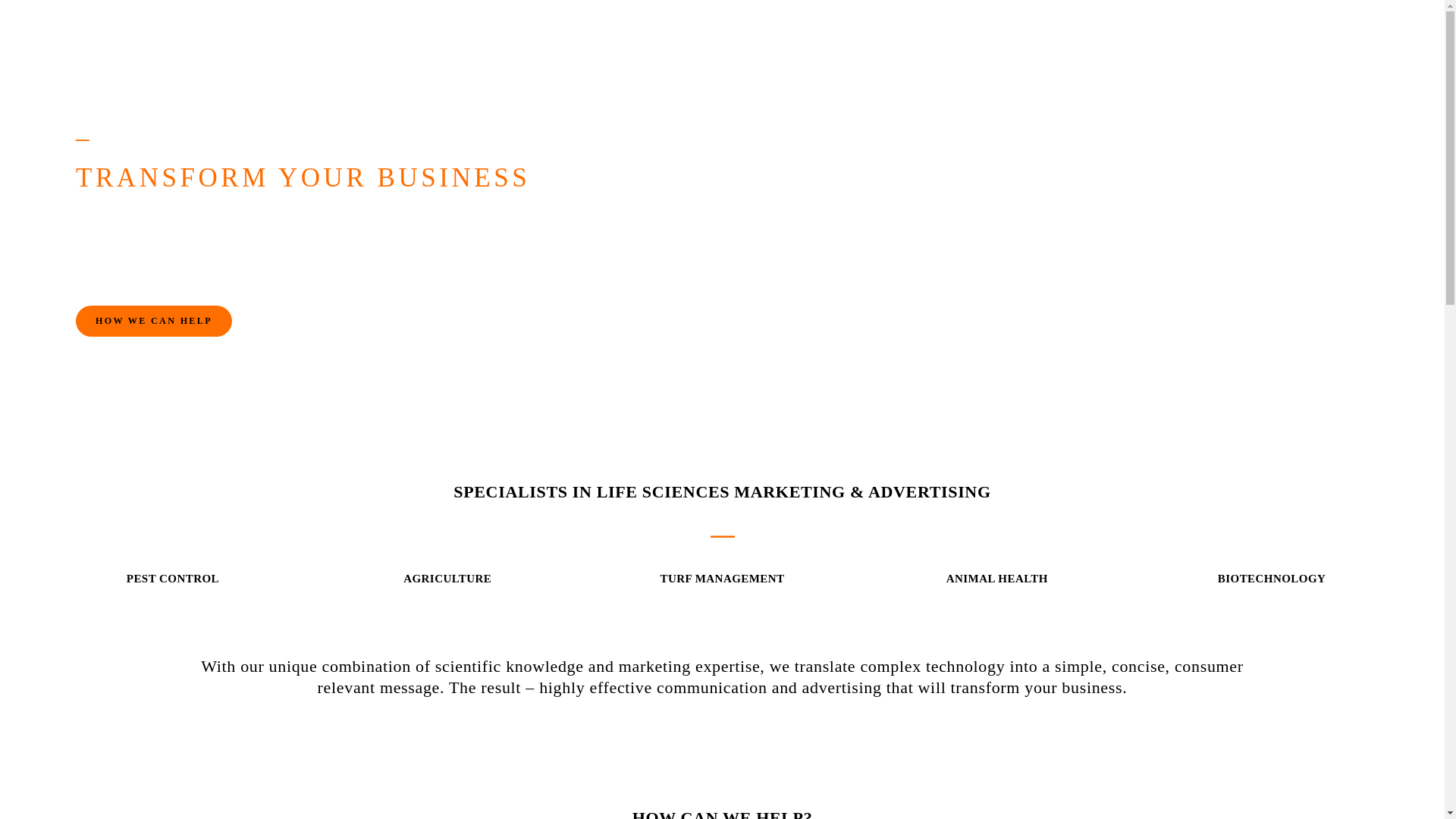 website screenshot of https://metamorphcreative.online/