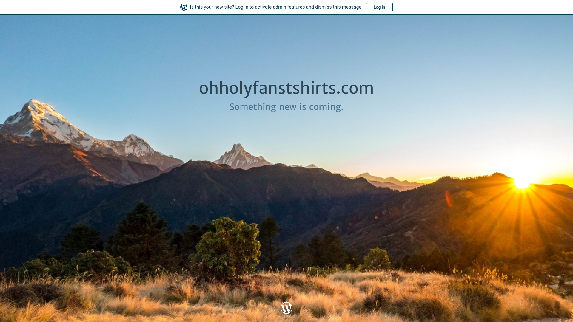 website screenshot of https://ohholyfanstshirts.com/