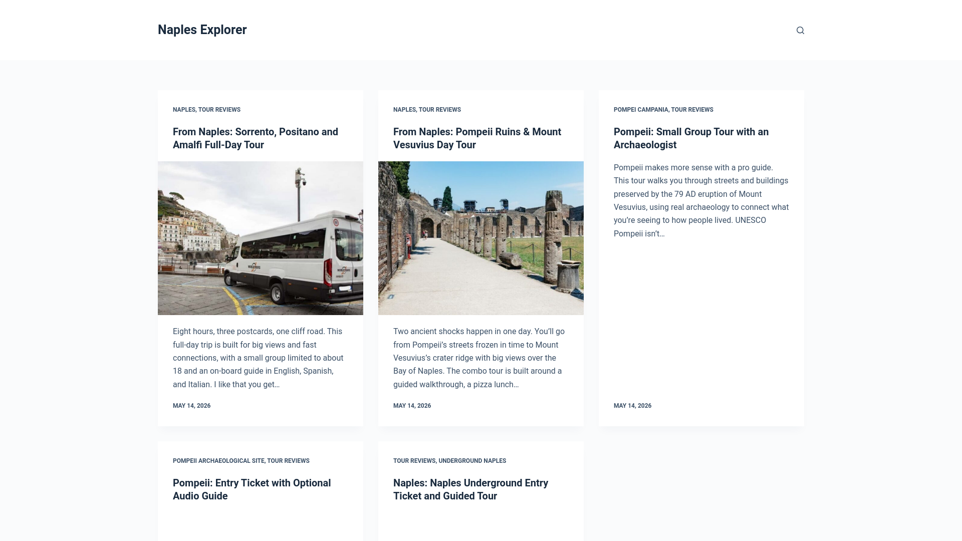 website screenshot of https://naplesexplorer.com/