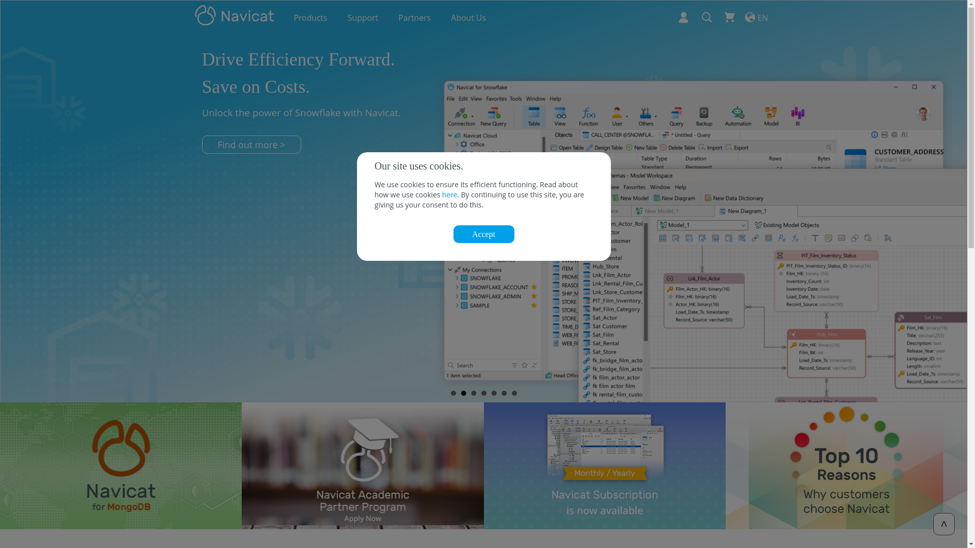 website screenshot of https://navicat.com