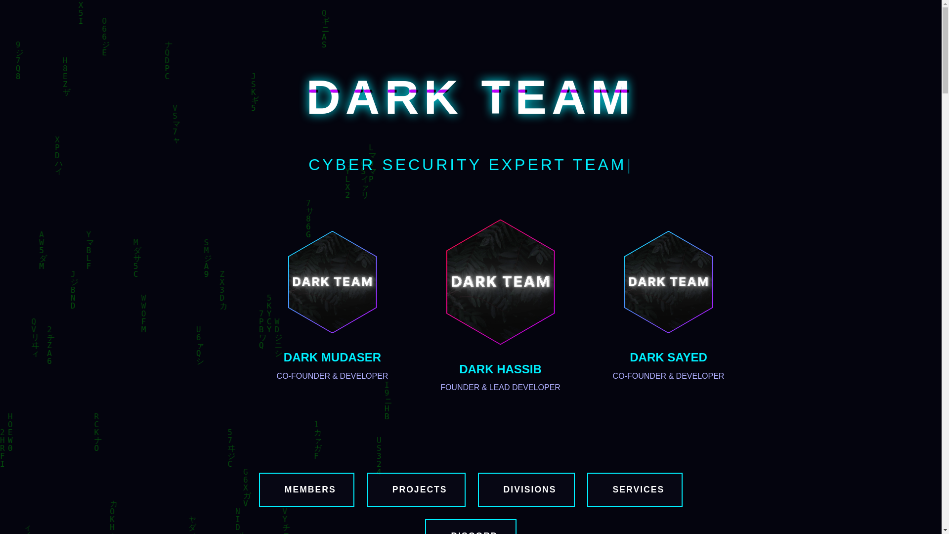website screenshot of https://darkteamnewn.pages.dev/